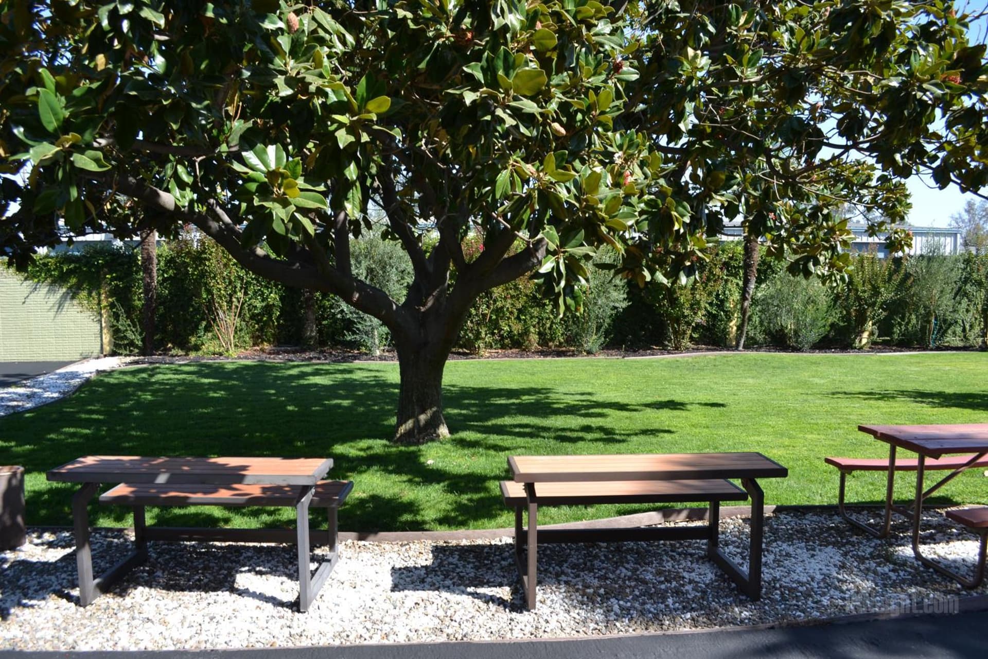 Days Inn & Suites by Wyndham Lodi gallery photo in Lodi, CA — image 23