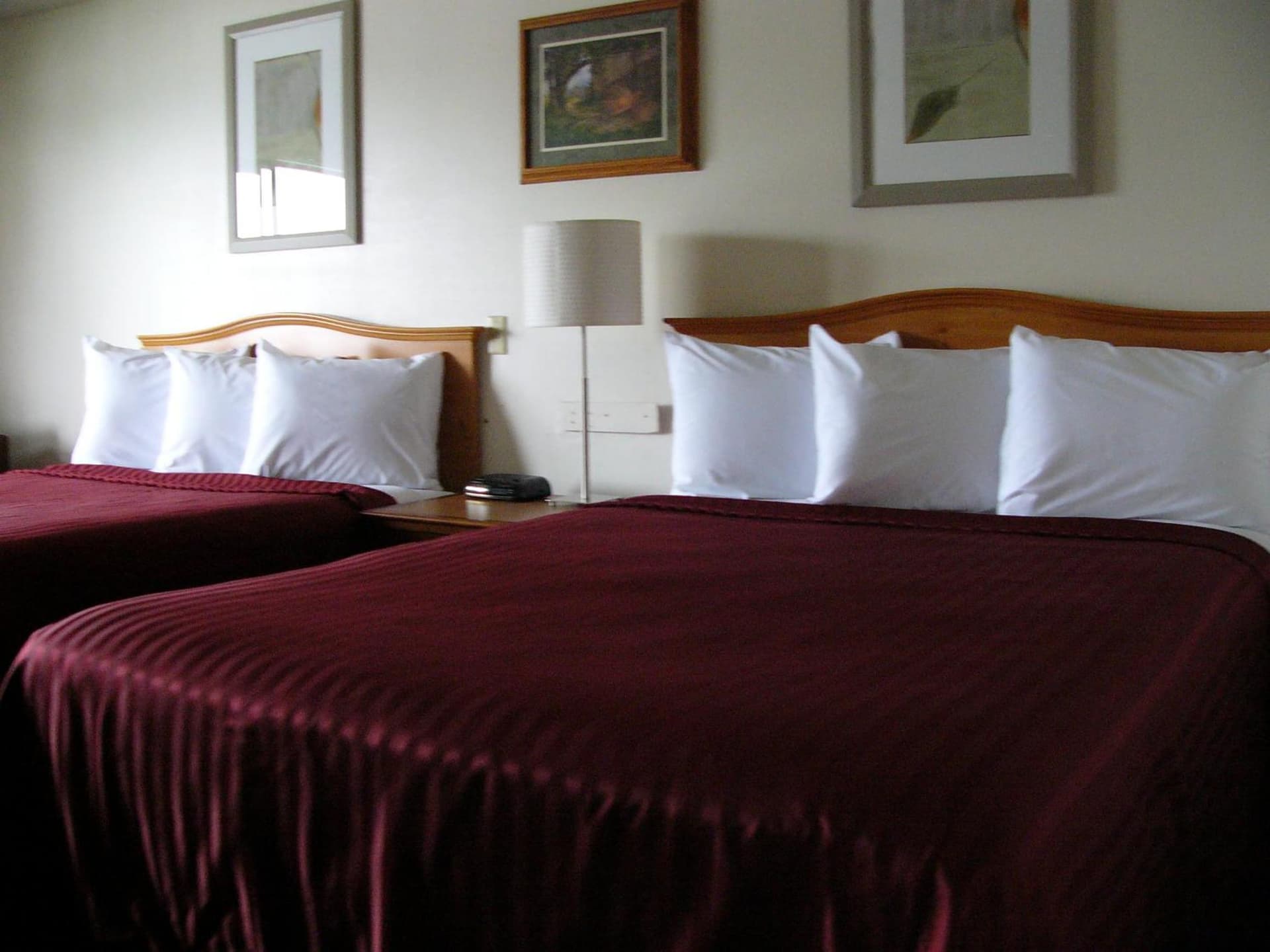 Oyster Bay Inn & Suites gallery photo in Bremerton, WA — image 14