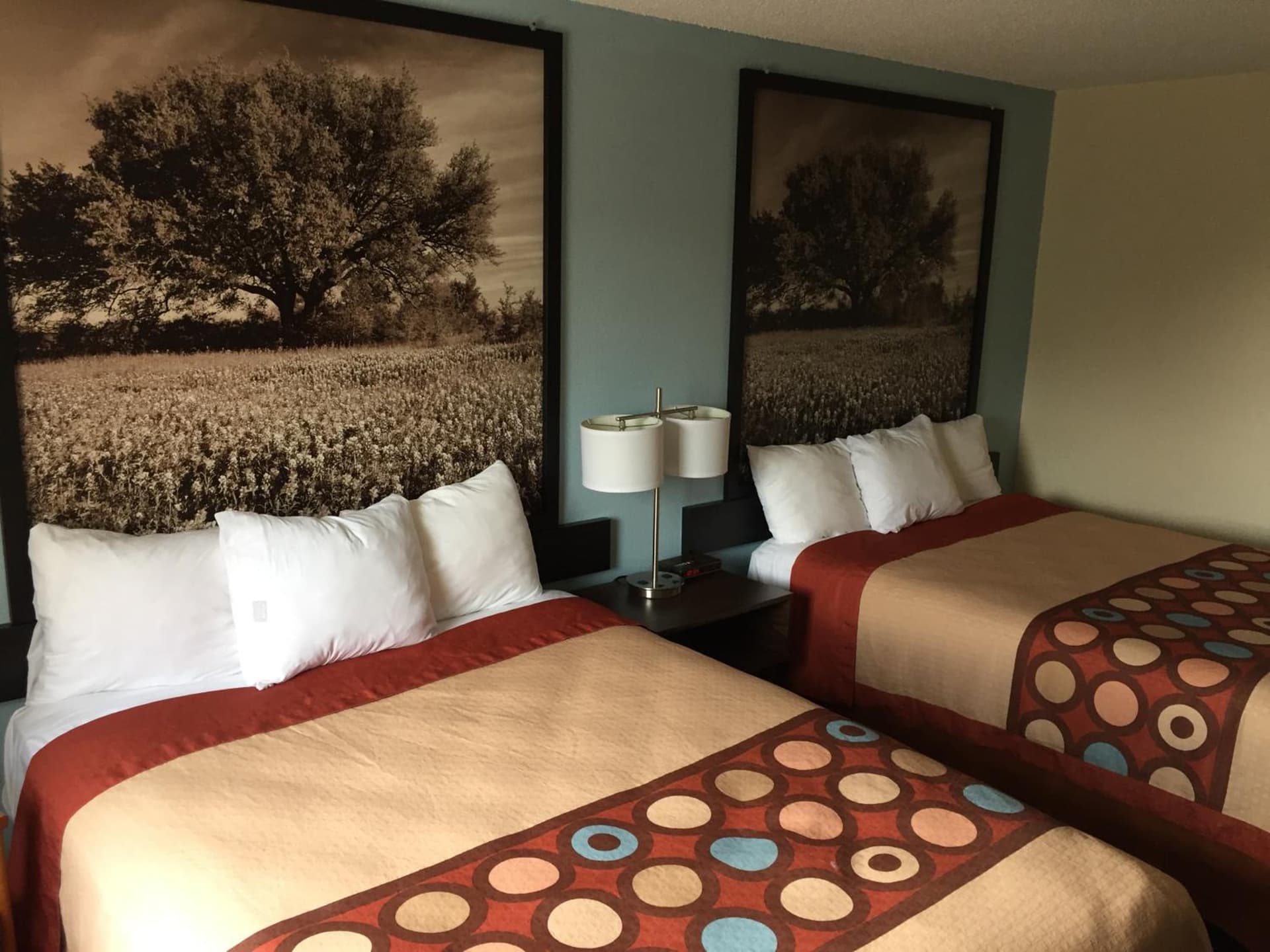 Super 8 by Wyndham College Station gallery photo in College Station, TX — image 14