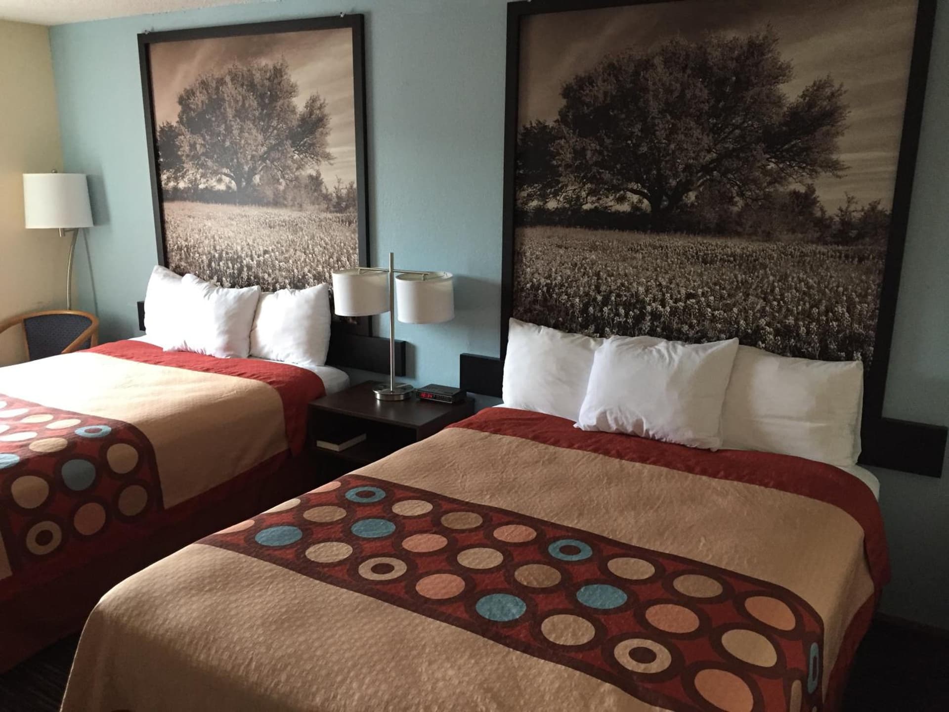 Super 8 by Wyndham College Station gallery photo in College Station, TX — image 21