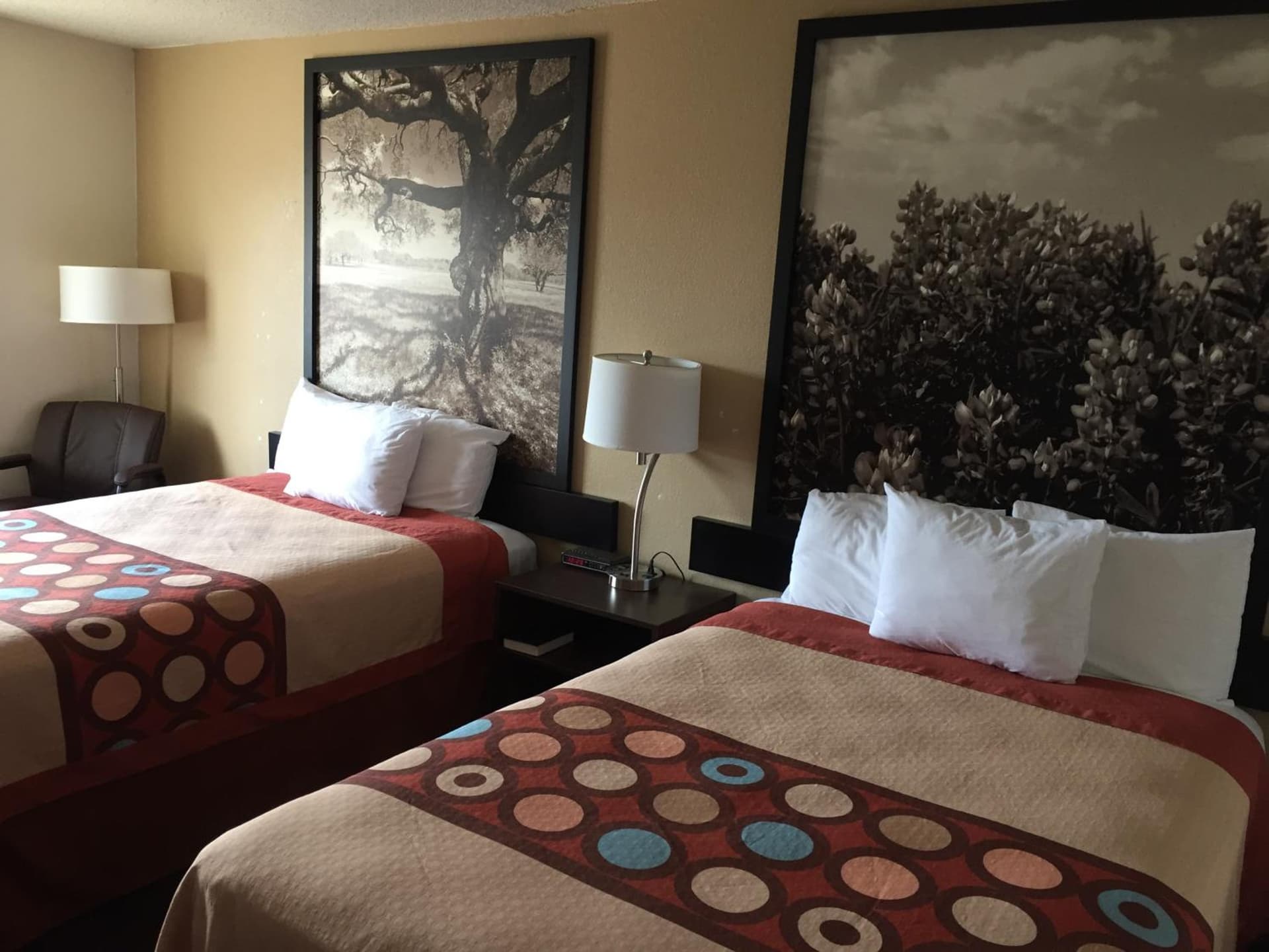 Super 8 by Wyndham College Station gallery photo in College Station, TX — image 43