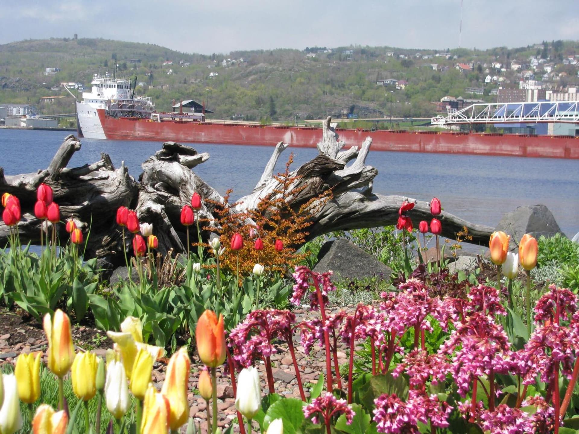 South Pier Inn gallery photo in Duluth, MN — image 33
