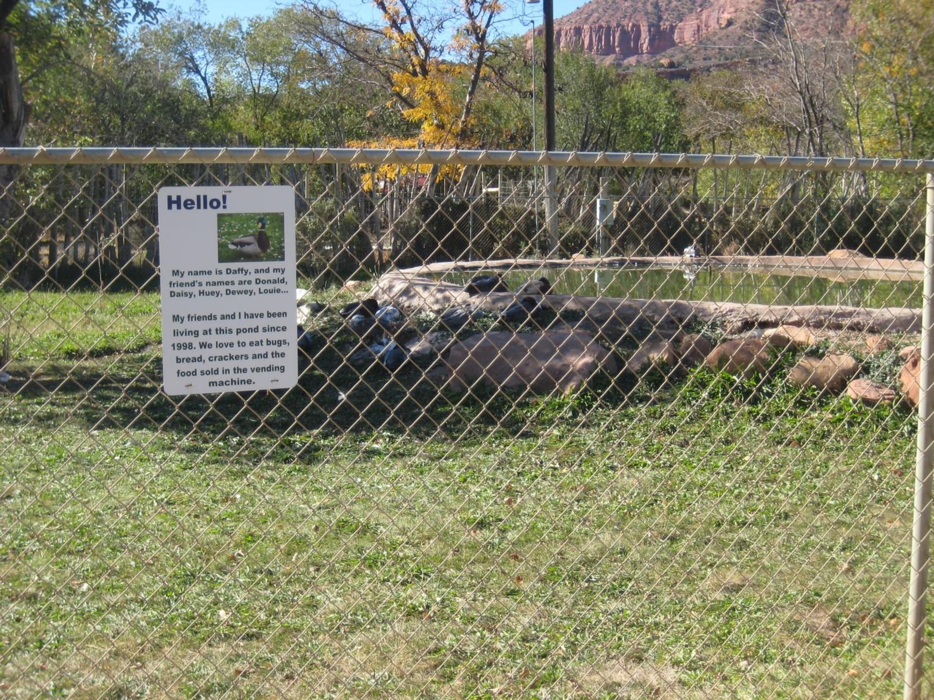 Bumbleberry Inn gallery photo in Springdale, UT — image 80