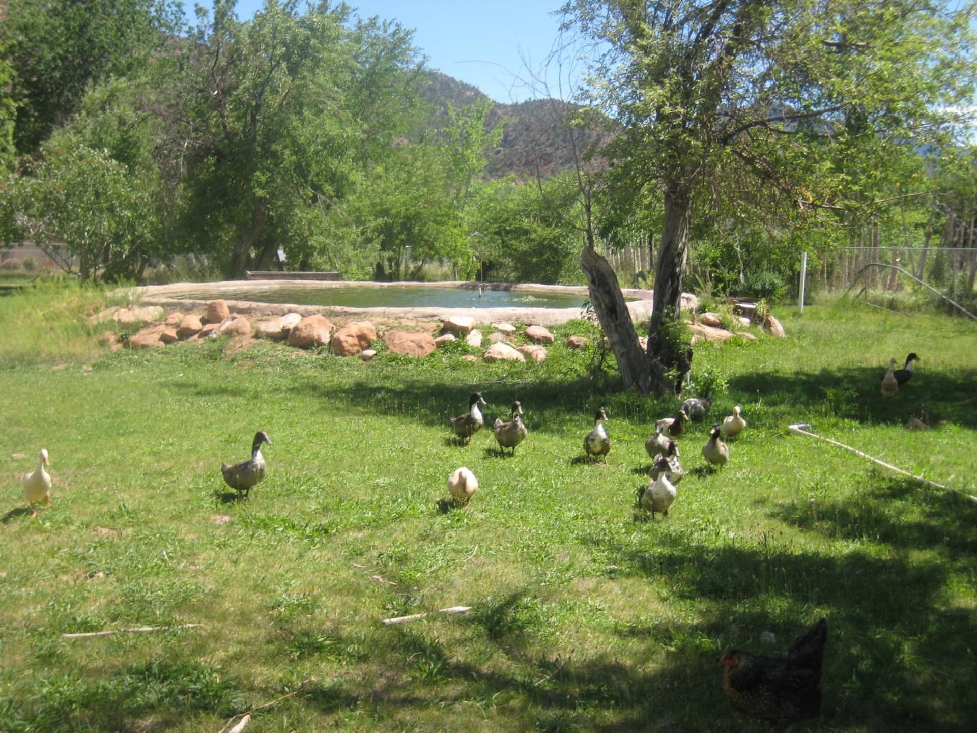 Bumbleberry Inn gallery photo in Springdale, UT — image 100