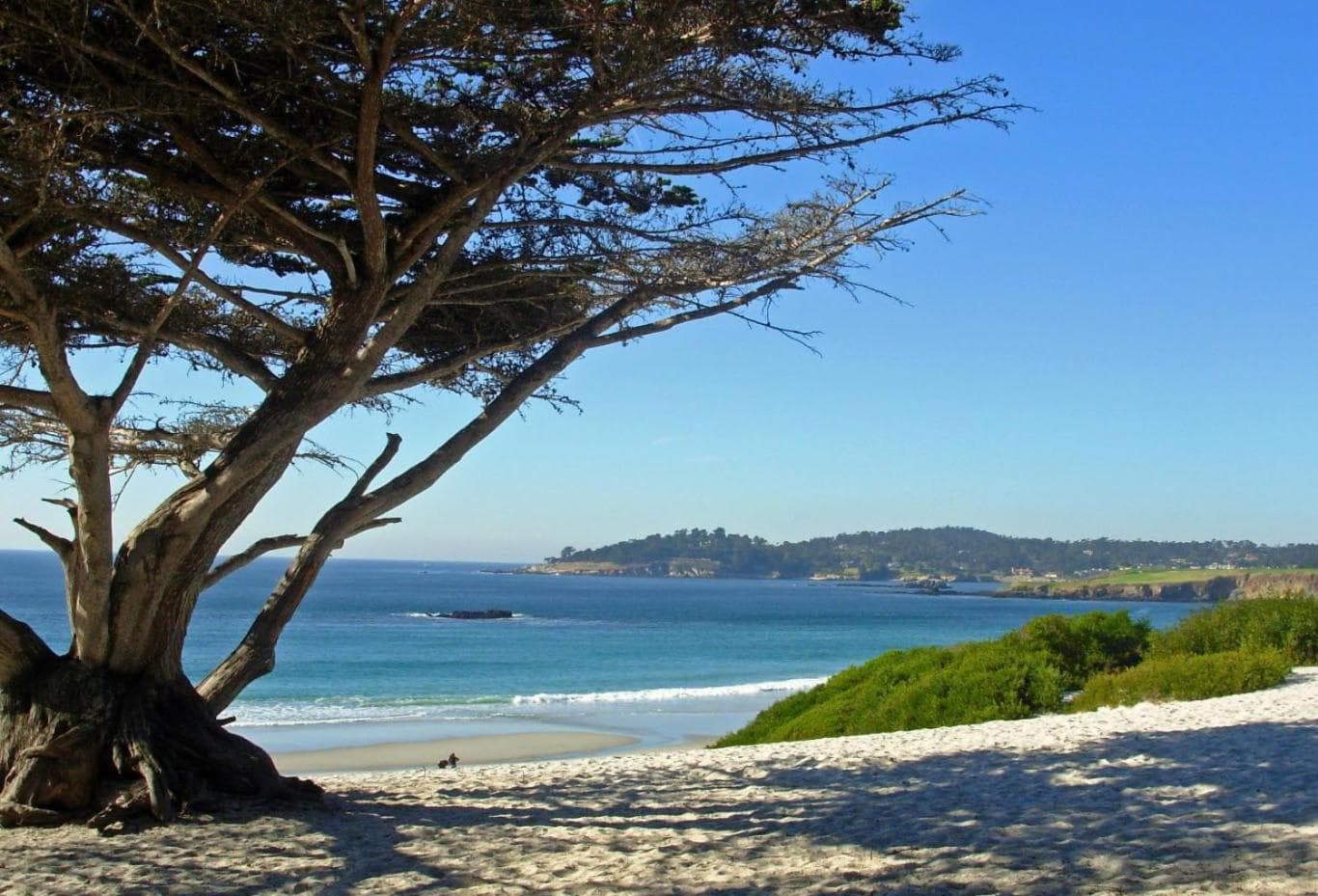 Briarwood Inn property views in Carmel, CA — gallery photo 3