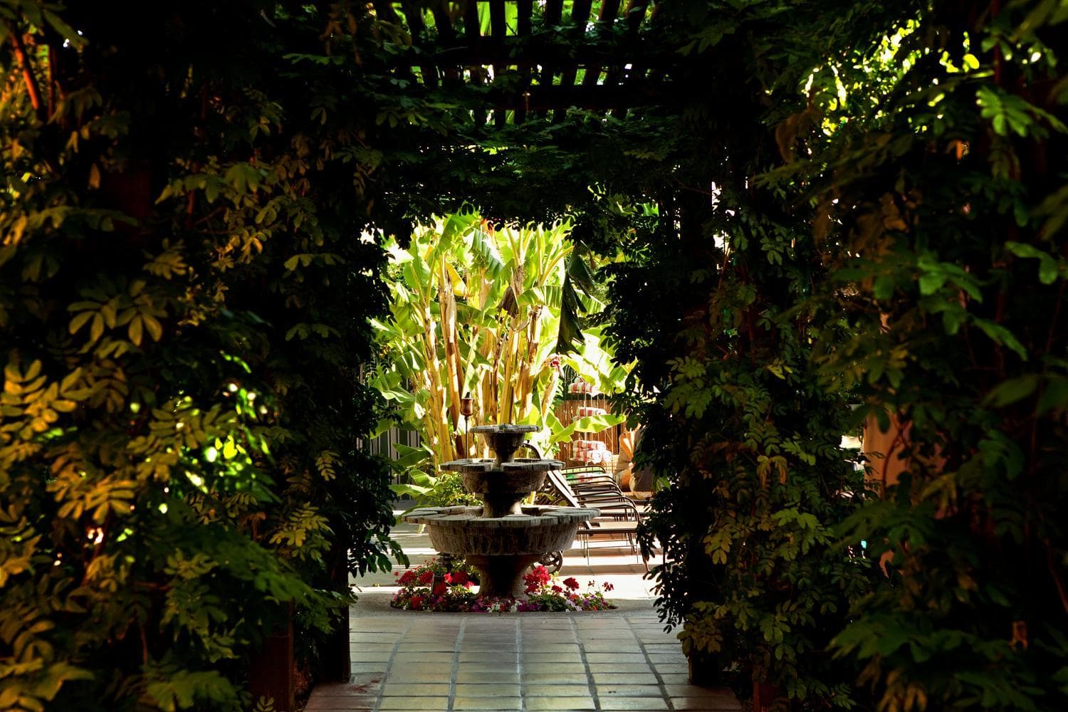 Hotel California - A Town & Desert Boutique Hotel gallery photo in Palm Springs, CA — image 13