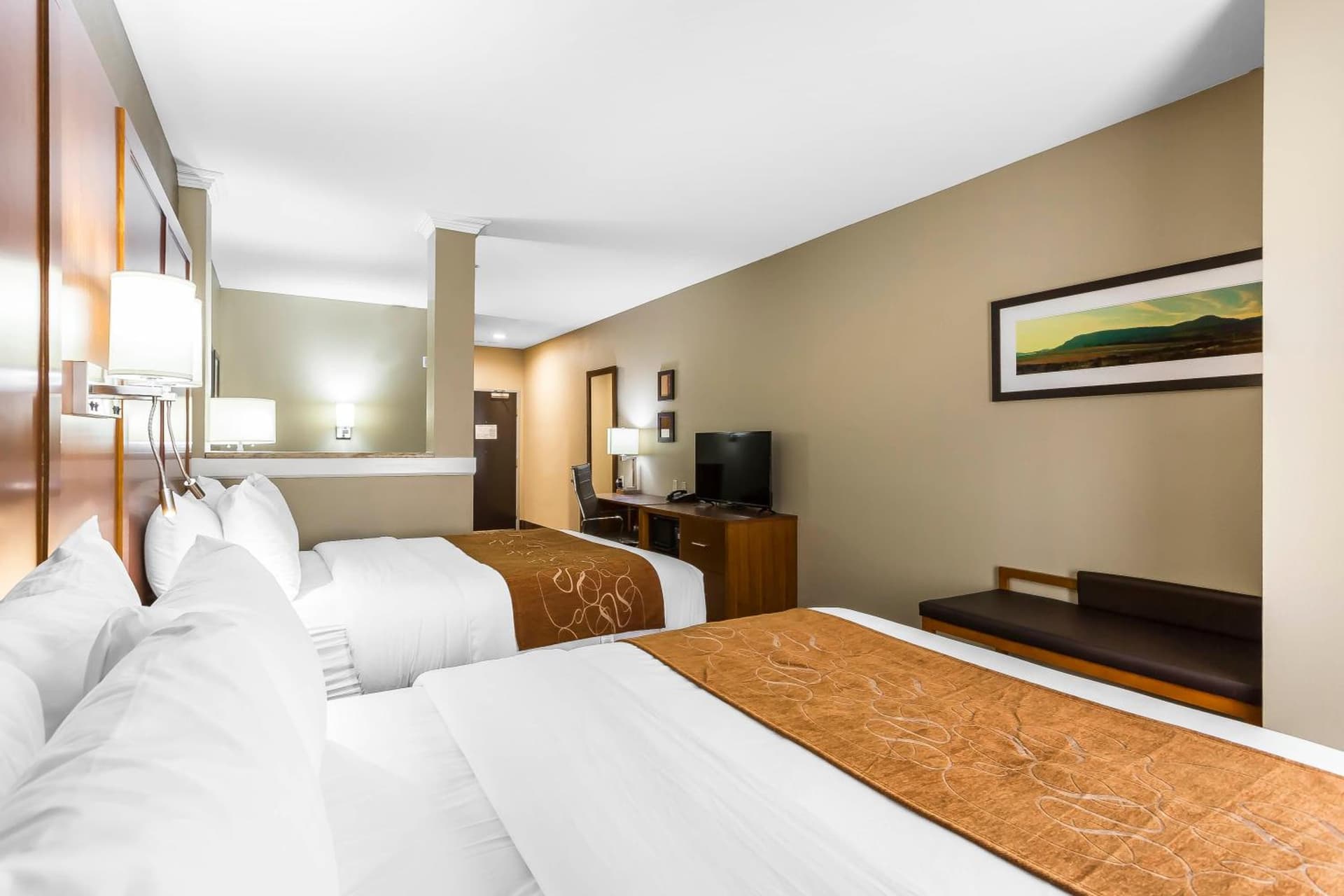 Comfort Suites - University gallery photo in Lubbock, TX — image 39