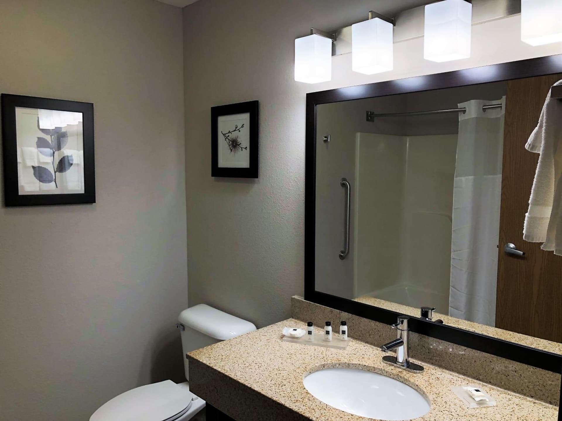 Country Inn & Suites by Radisson, Mt Pleasant-Racine West, WI gallery photo in Sturtevant, WI — image 93