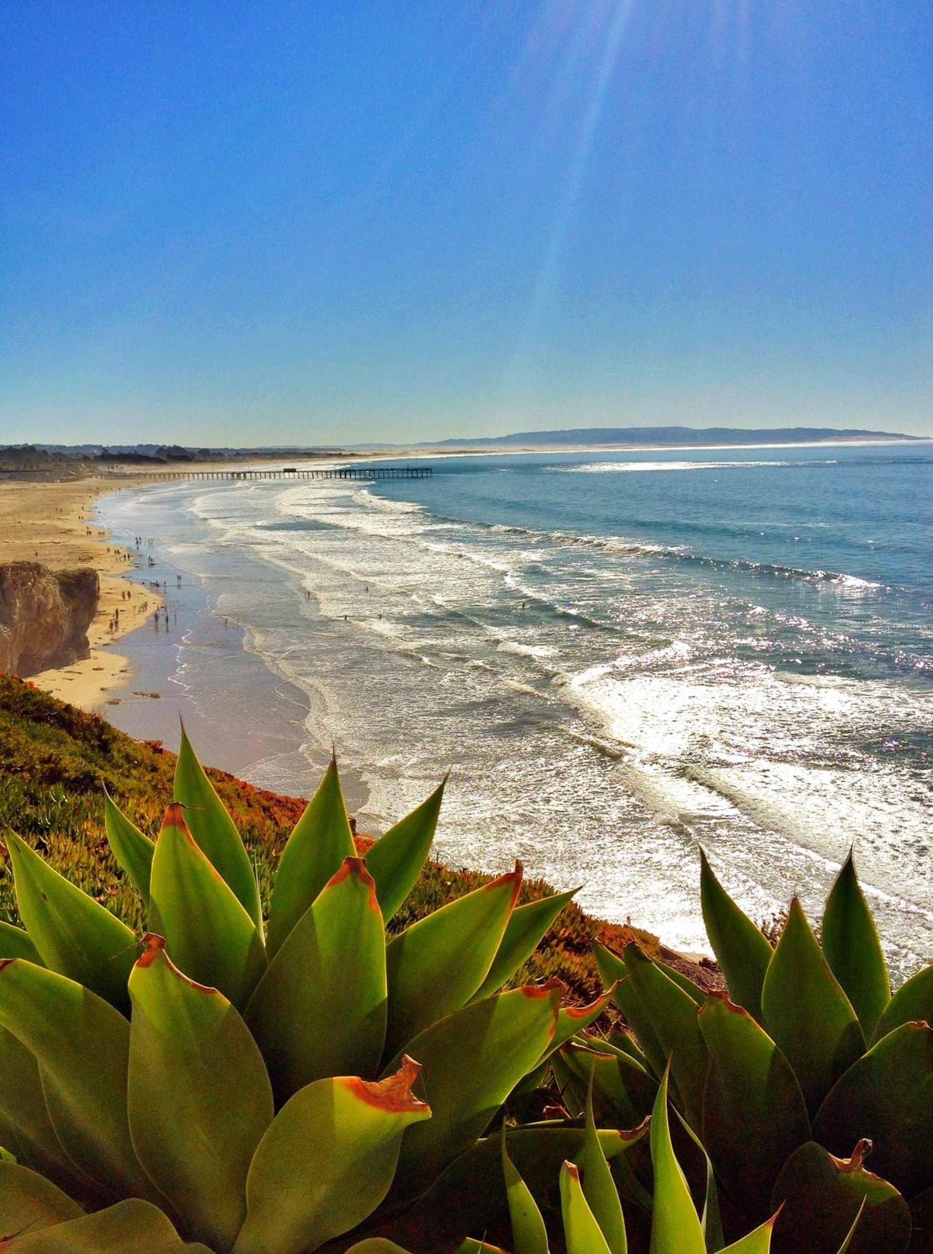 Pismo Lighthouse Suites gallery photo in Pismo Beach, CA — image 33
