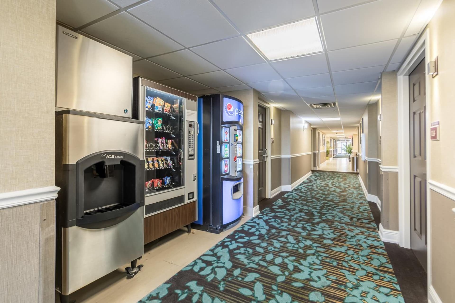 Best Western Plus Sebastian Hotel & Suites gallery photo in Sebastian, FL — image 38