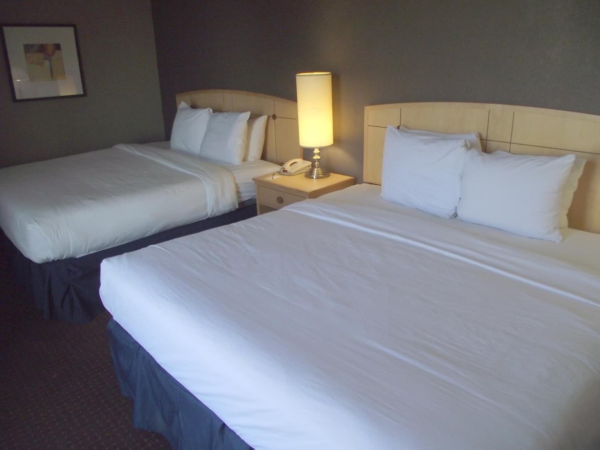 Travelodge by Wyndham Memphis Airport/Graceland gallery photo in Memphis, TN — image 55