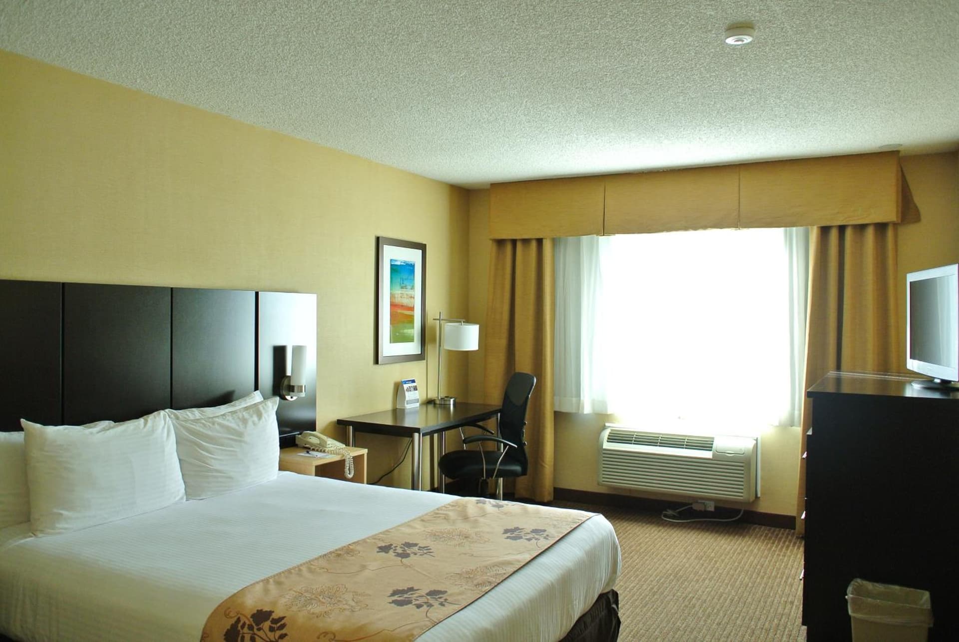 Best Western Seattle Airport Hotel gallery photo in SeaTac, WA — image 9