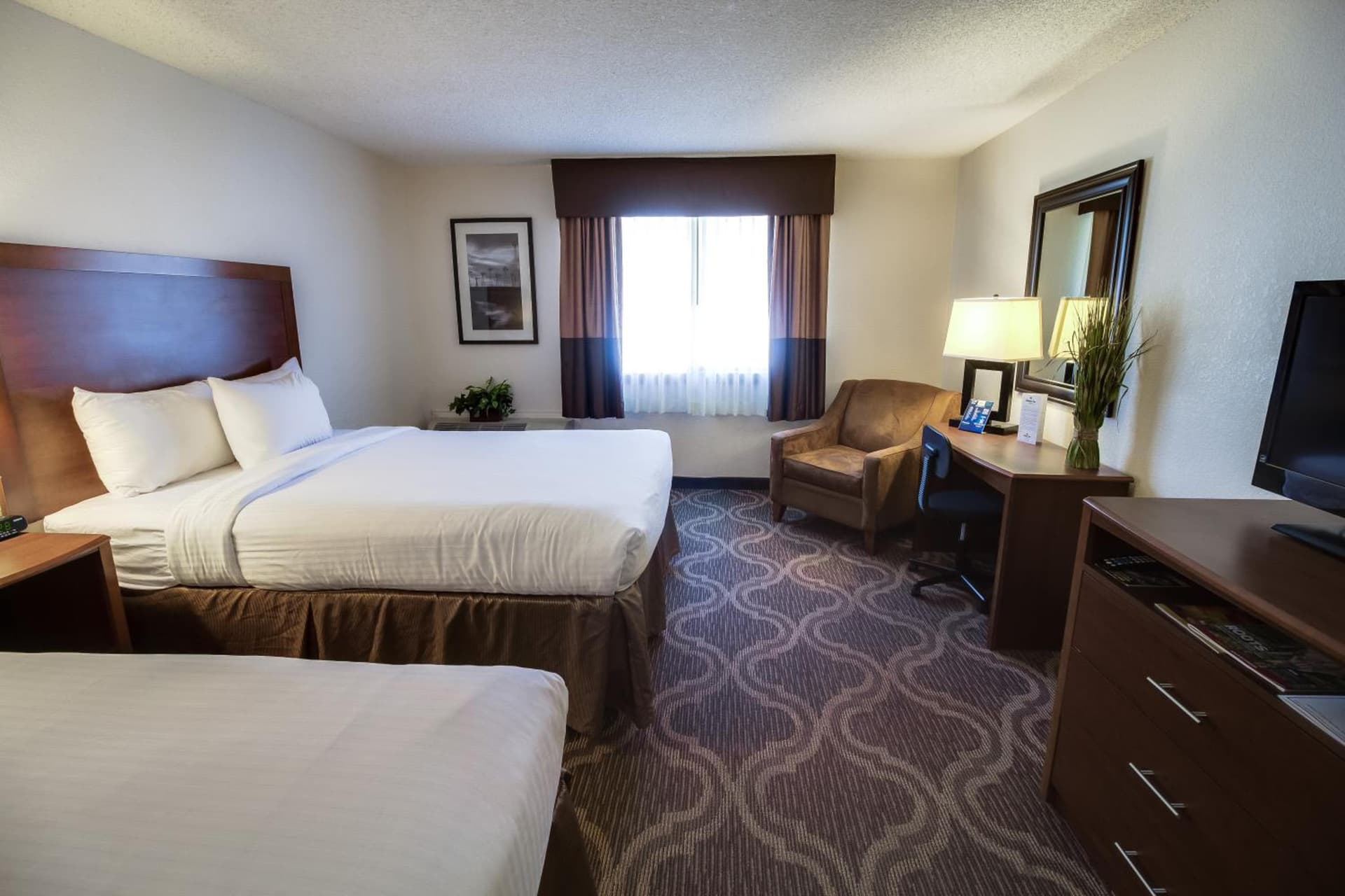 Ashmore Inn and Suites gallery photo in Lubbock, TX — image 33