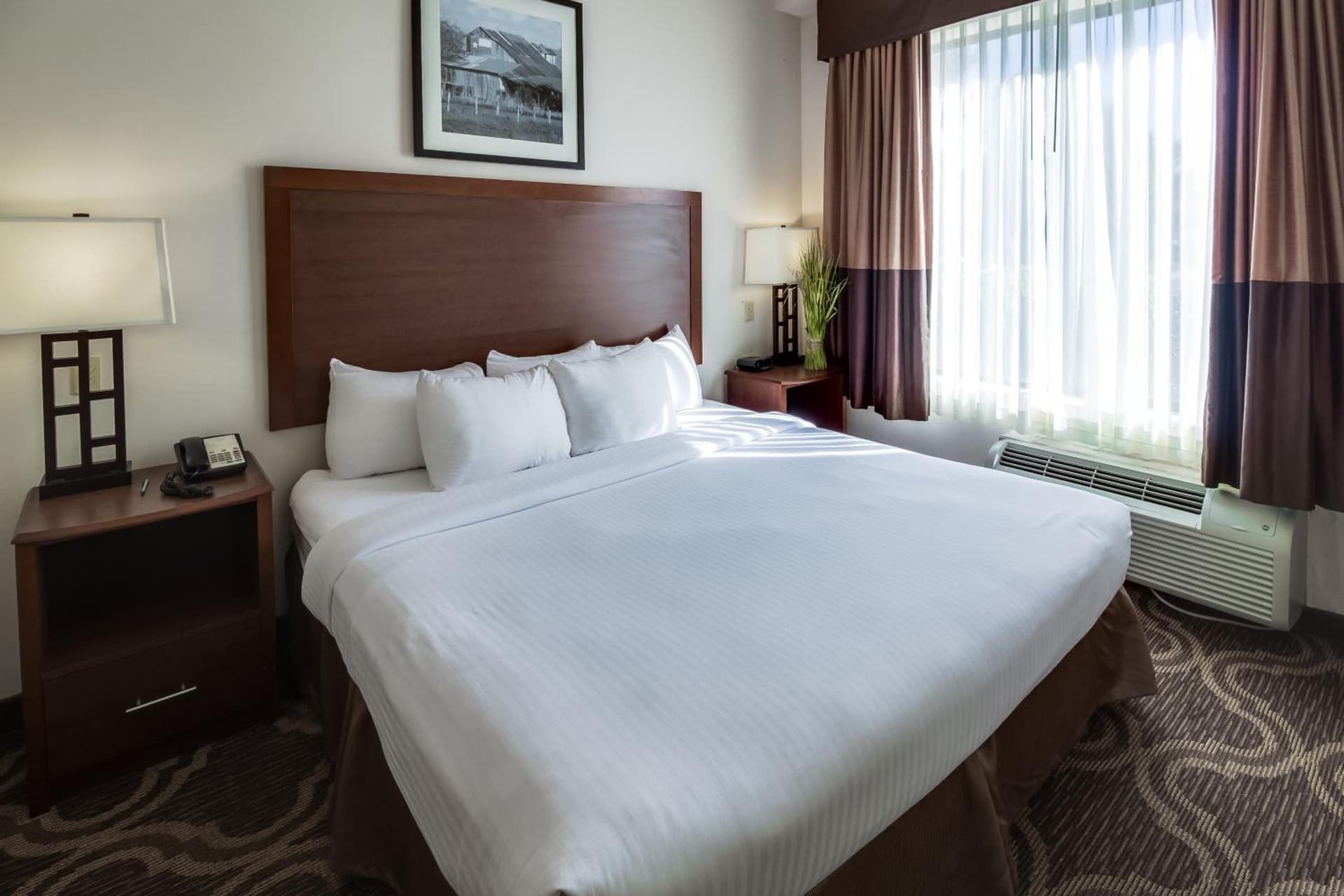 Ashmore Inn and Suites gallery photo in Lubbock, TX — image 12