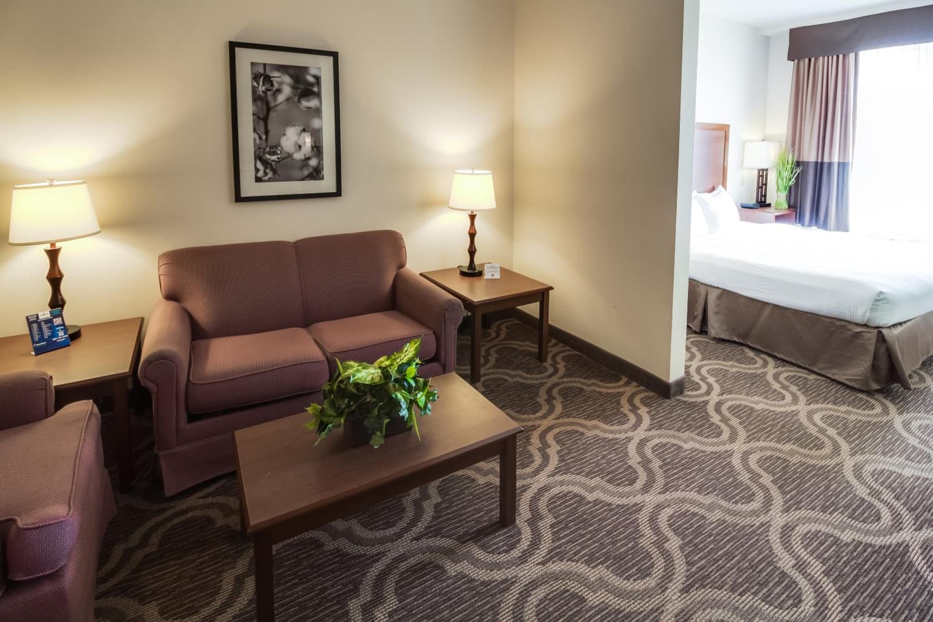 Ashmore Inn and Suites gallery photo in Lubbock, TX — image 25