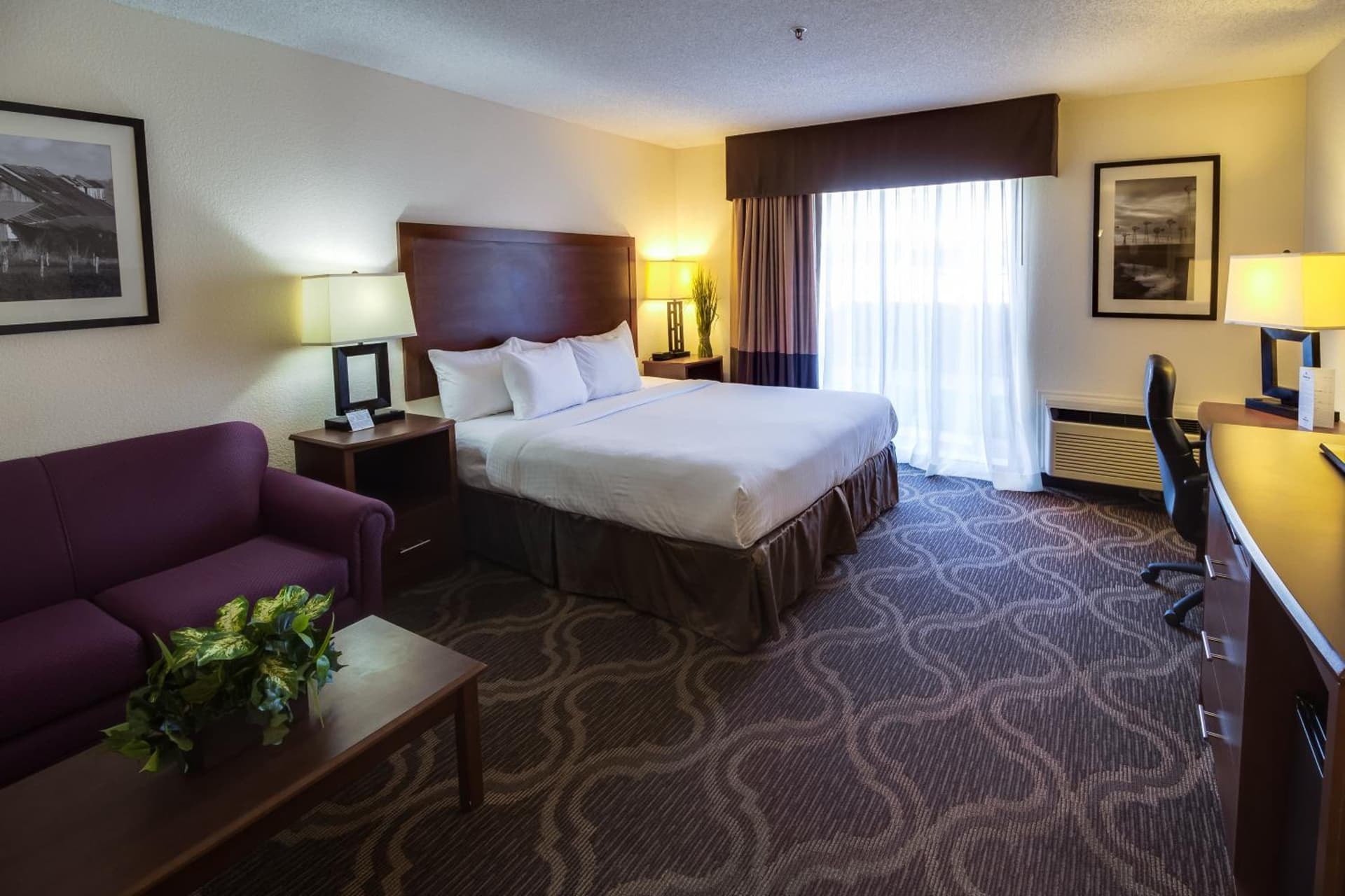 Ashmore Inn and Suites gallery photo in Lubbock, TX — image 29