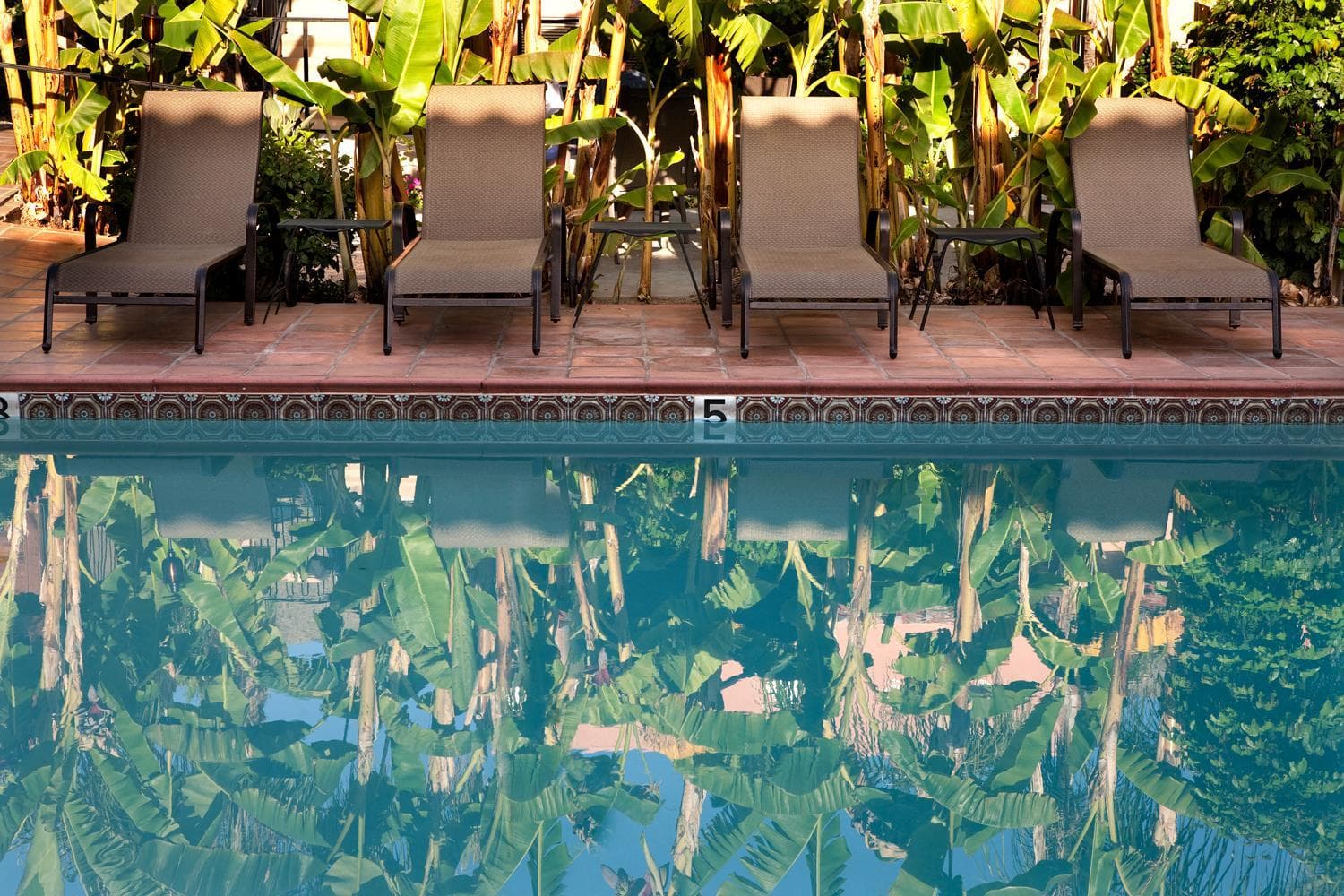 Hotel California - A Town & Desert Boutique Hotel gallery photo in Palm Springs, CA — image 82