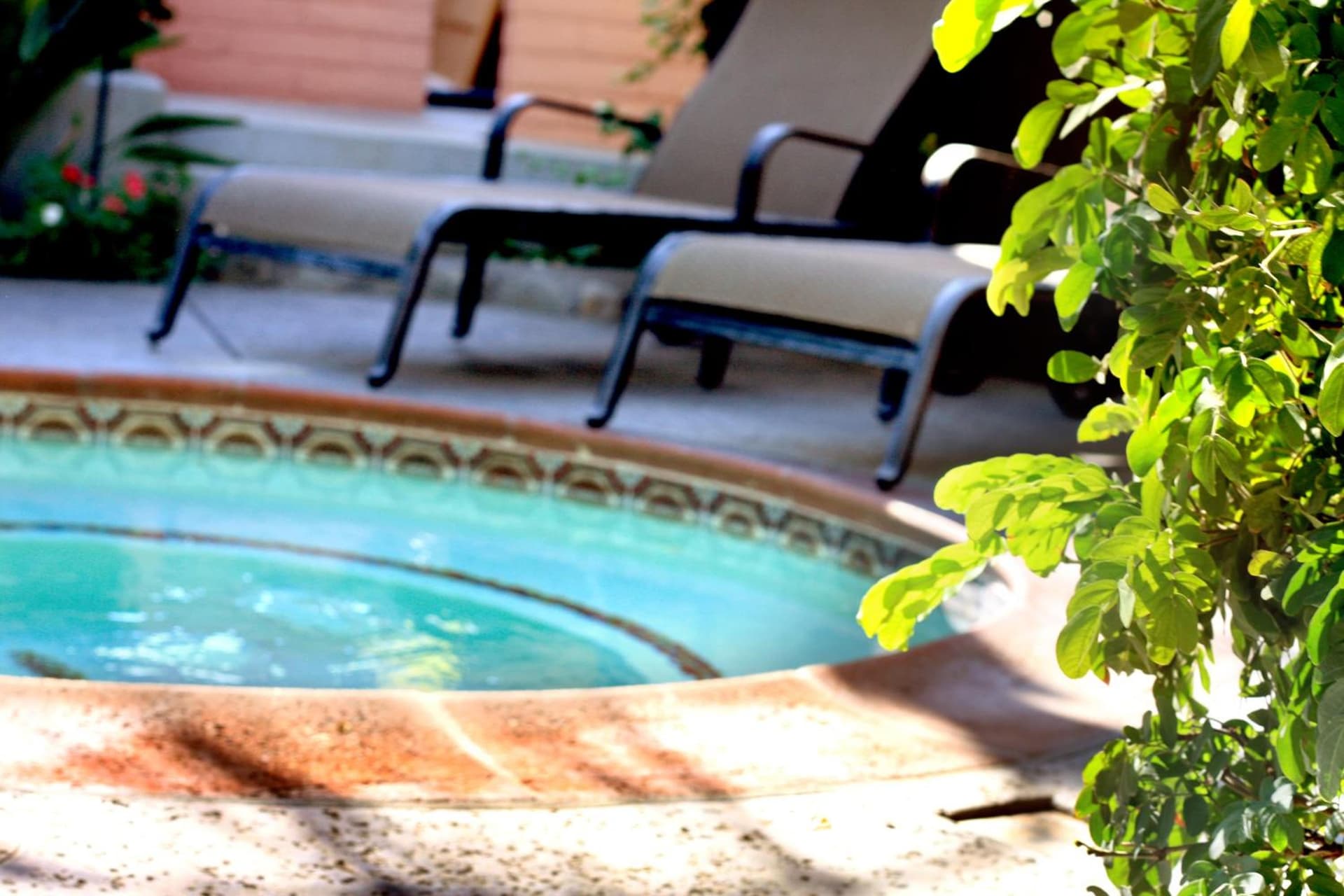 Hotel California - A Town & Desert Boutique Hotel gallery photo in Palm Springs, CA — image 48