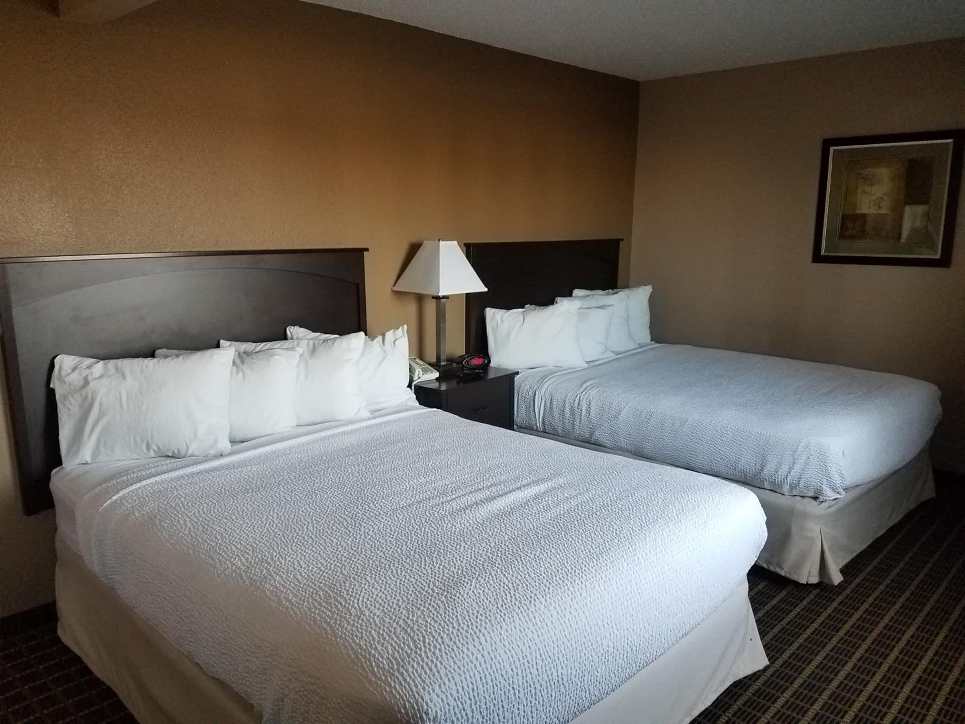 Americas Best Value Inn and Suites Bismarck gallery photo in Bismarck, ND — image 15