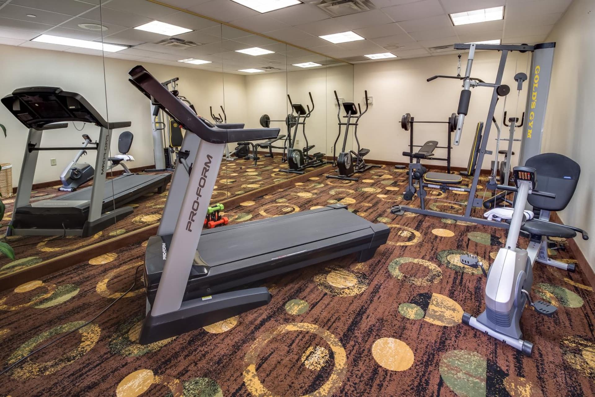 Spark by Hilton Amarillo East gallery photo in Amarillo, TX — image 25