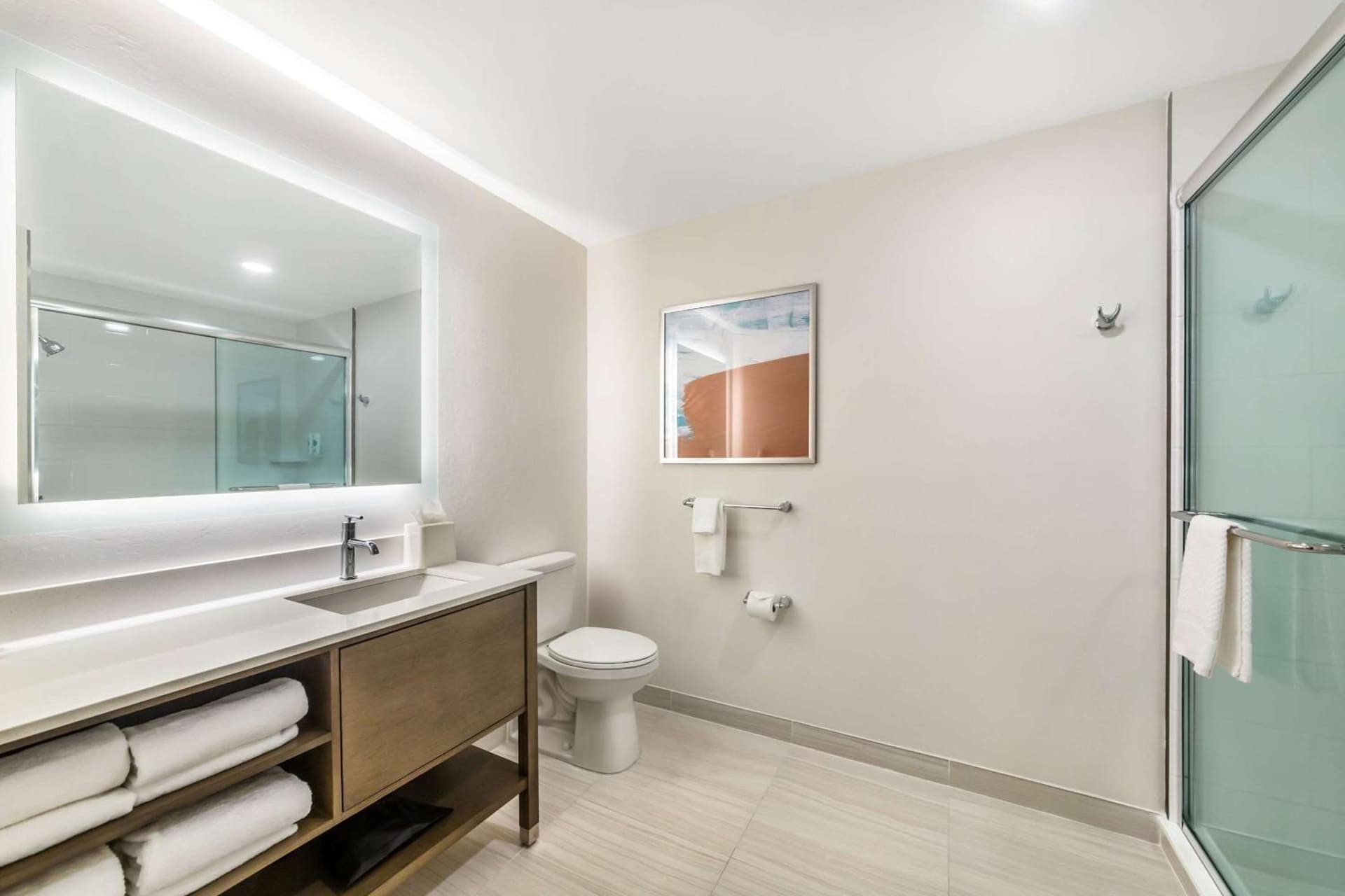 Comfort Suites Fort Myers East I-75 gallery photo in Fort Myers, FL — image 9