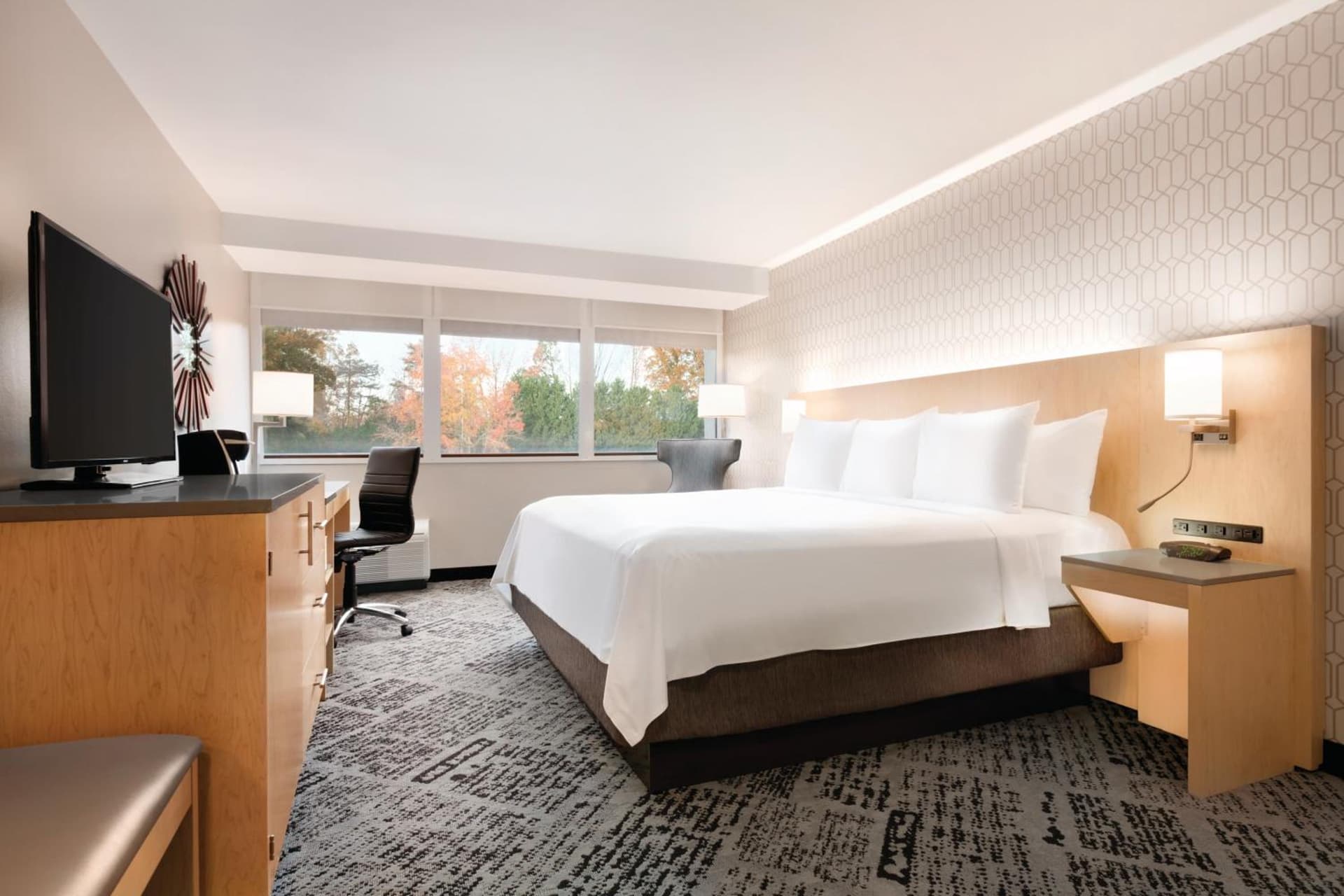 Radisson Hotel Charlotte Airport gallery photo in Charlotte, NC — image 9