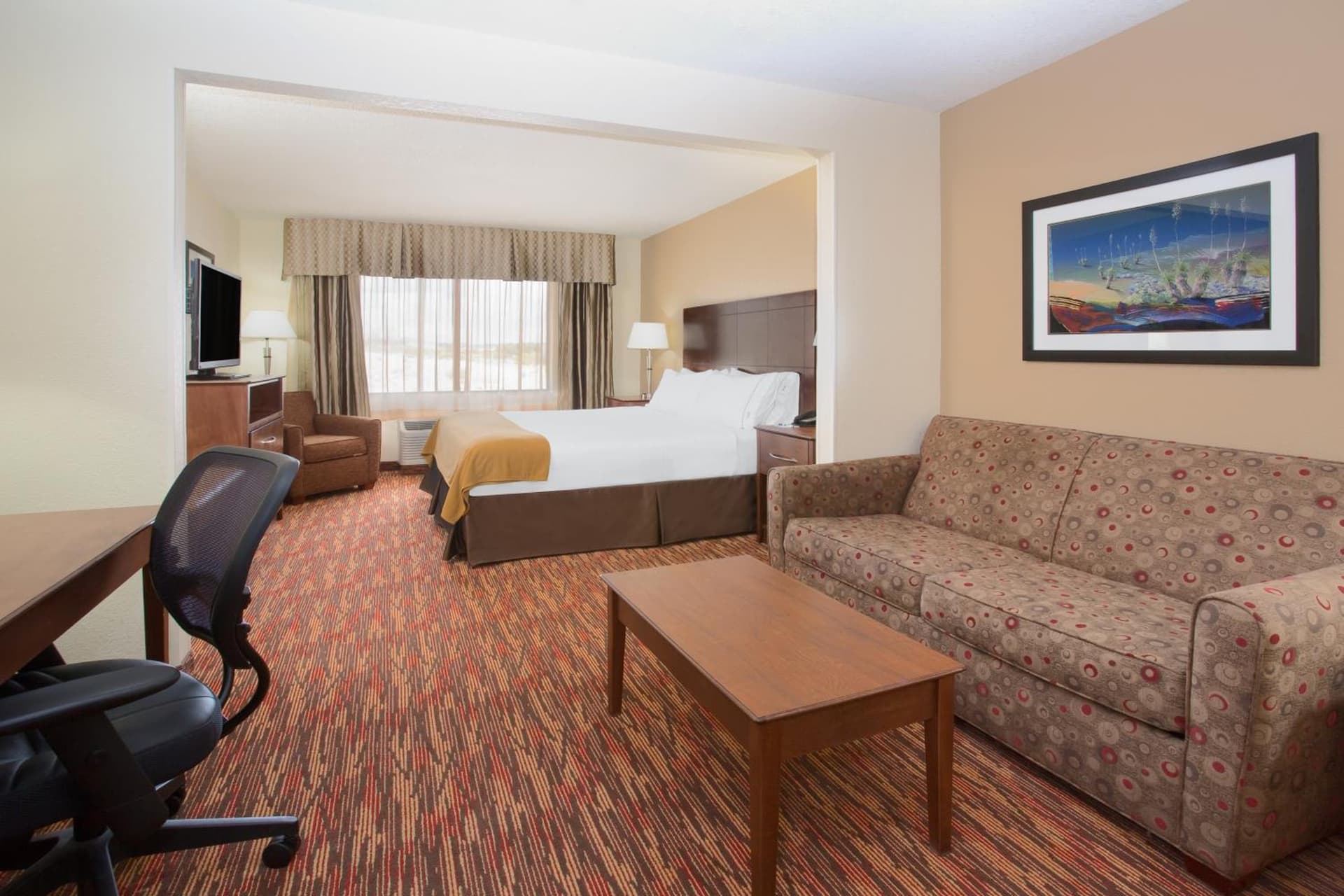 Holiday Inn Express & Suites Truth or Consequences by IHG - Newly Renovated property views in Truth or Consequences, NM — gallery photo 3