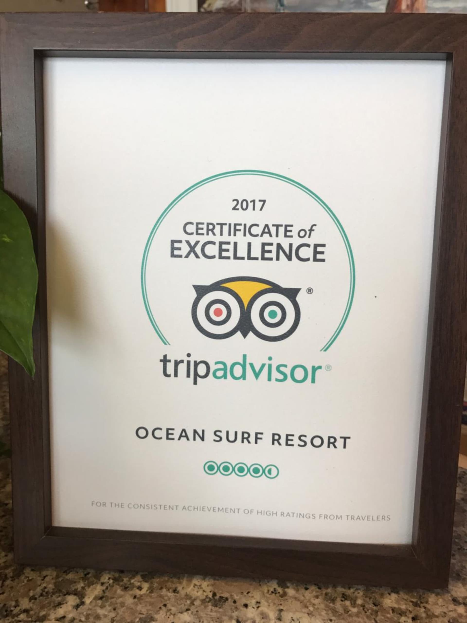 Ocean Surf Resort gallery photo in Montauk, NY — image 103