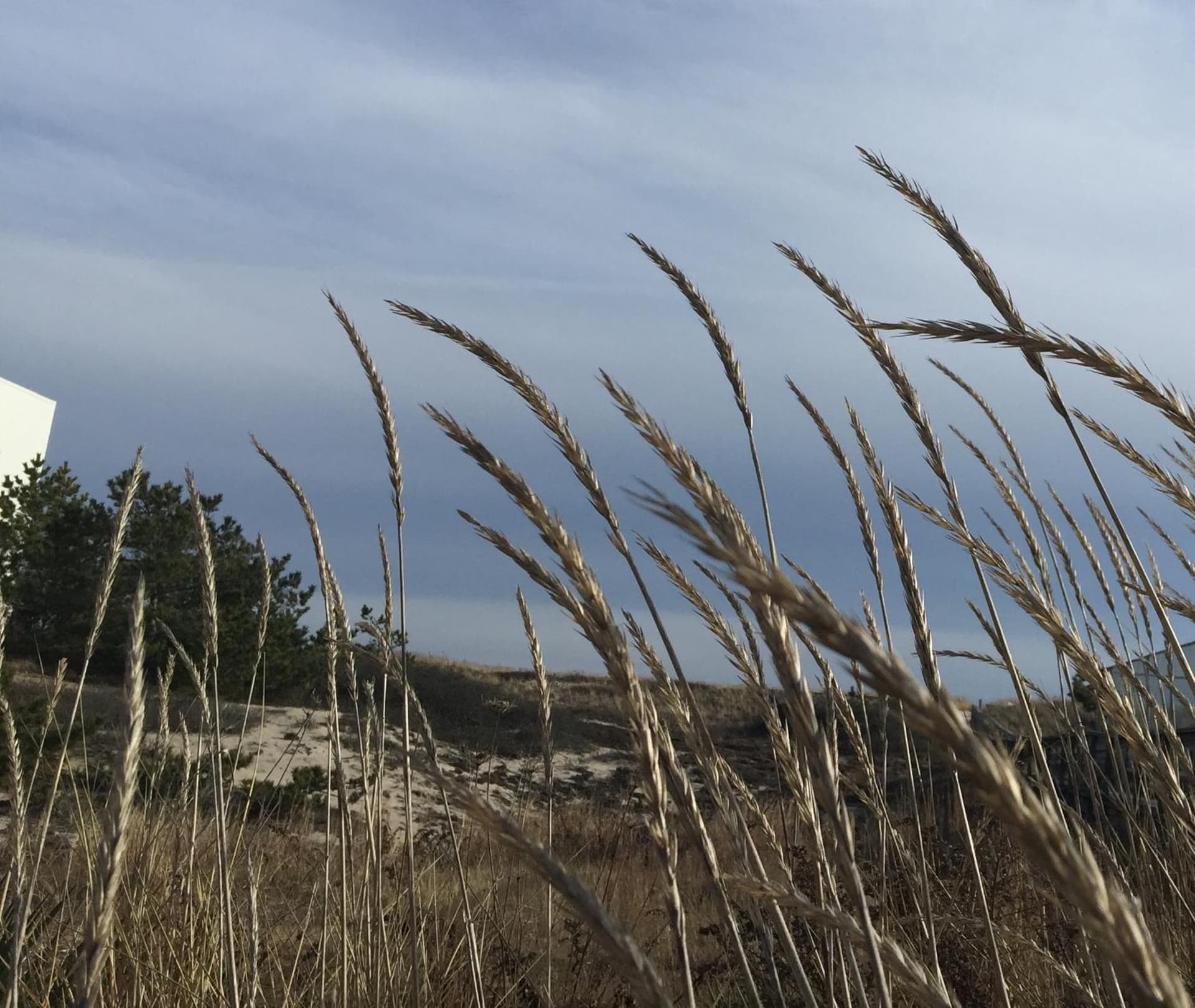 Ocean Vista Resort gallery photo in Amagansett, NY — image 6