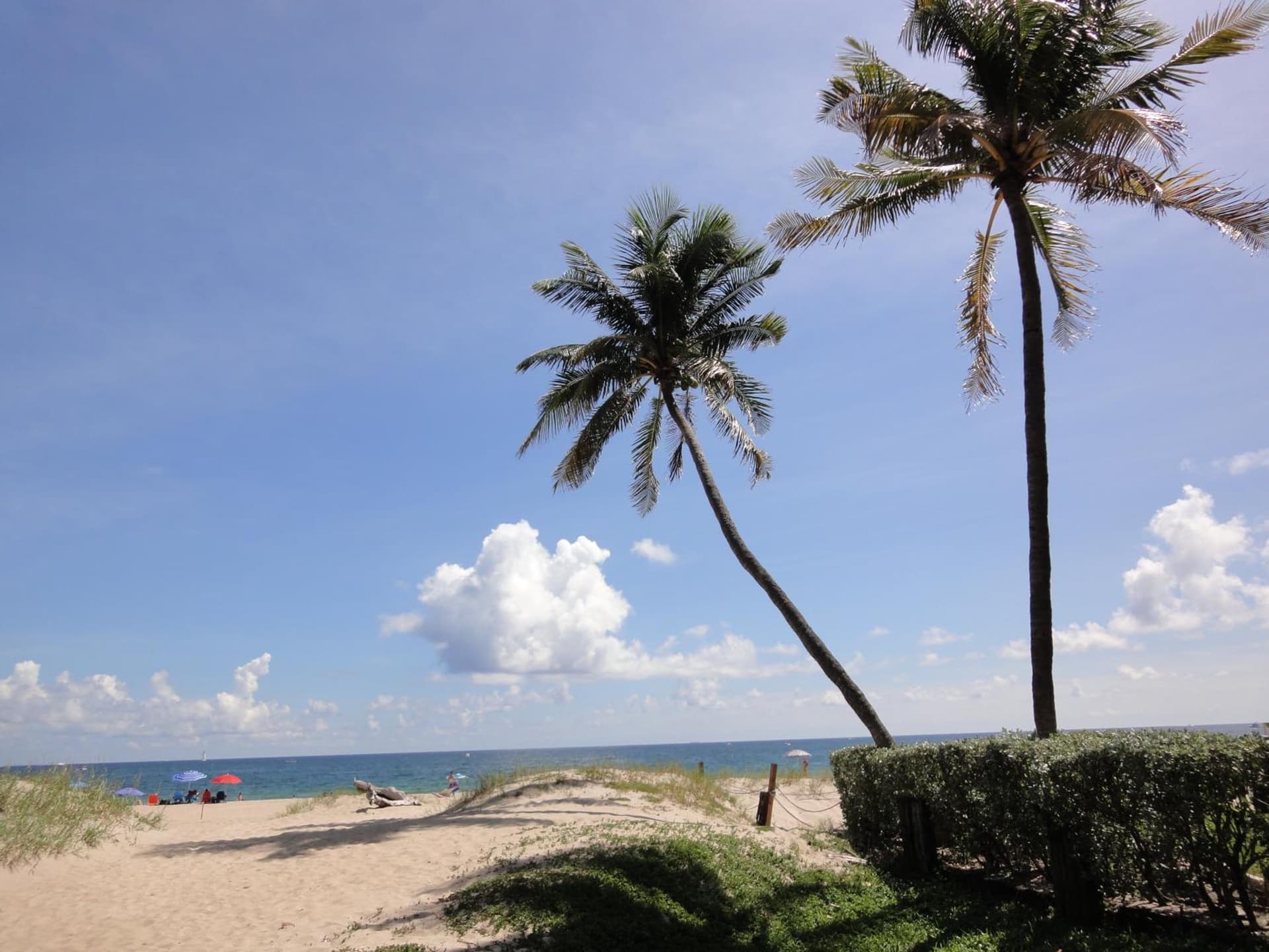Oceans Beach Resort & Suites gallery photo in Pompano Beach, FL — image 32