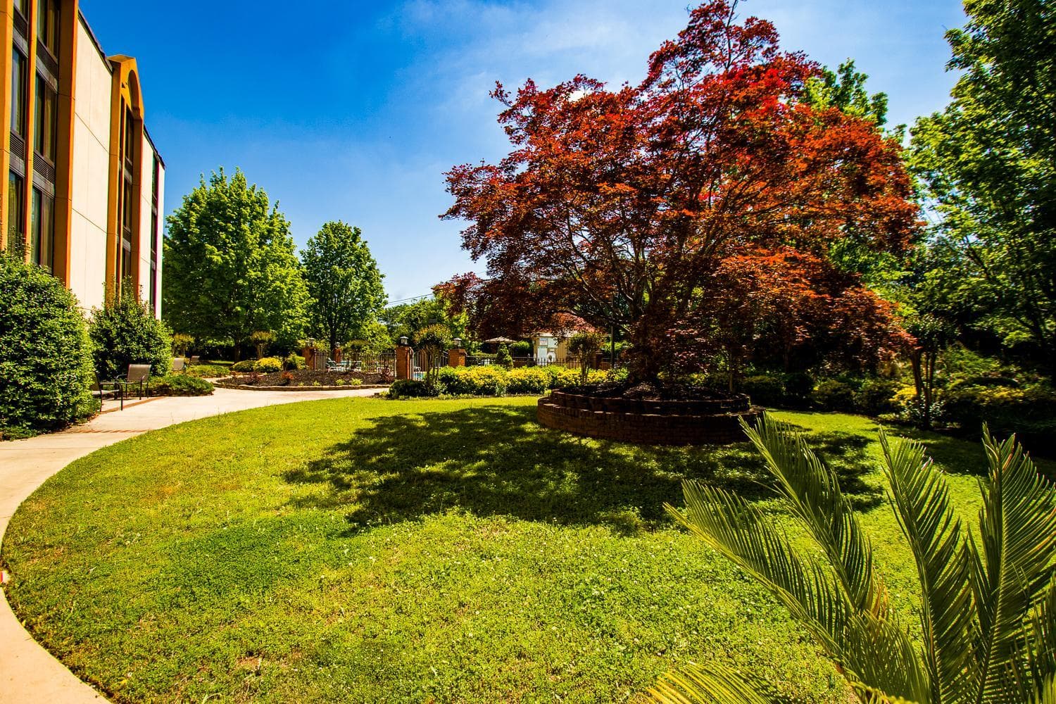 Comfort Inn & Suites gallery photo in Gainesville, GA — image 12