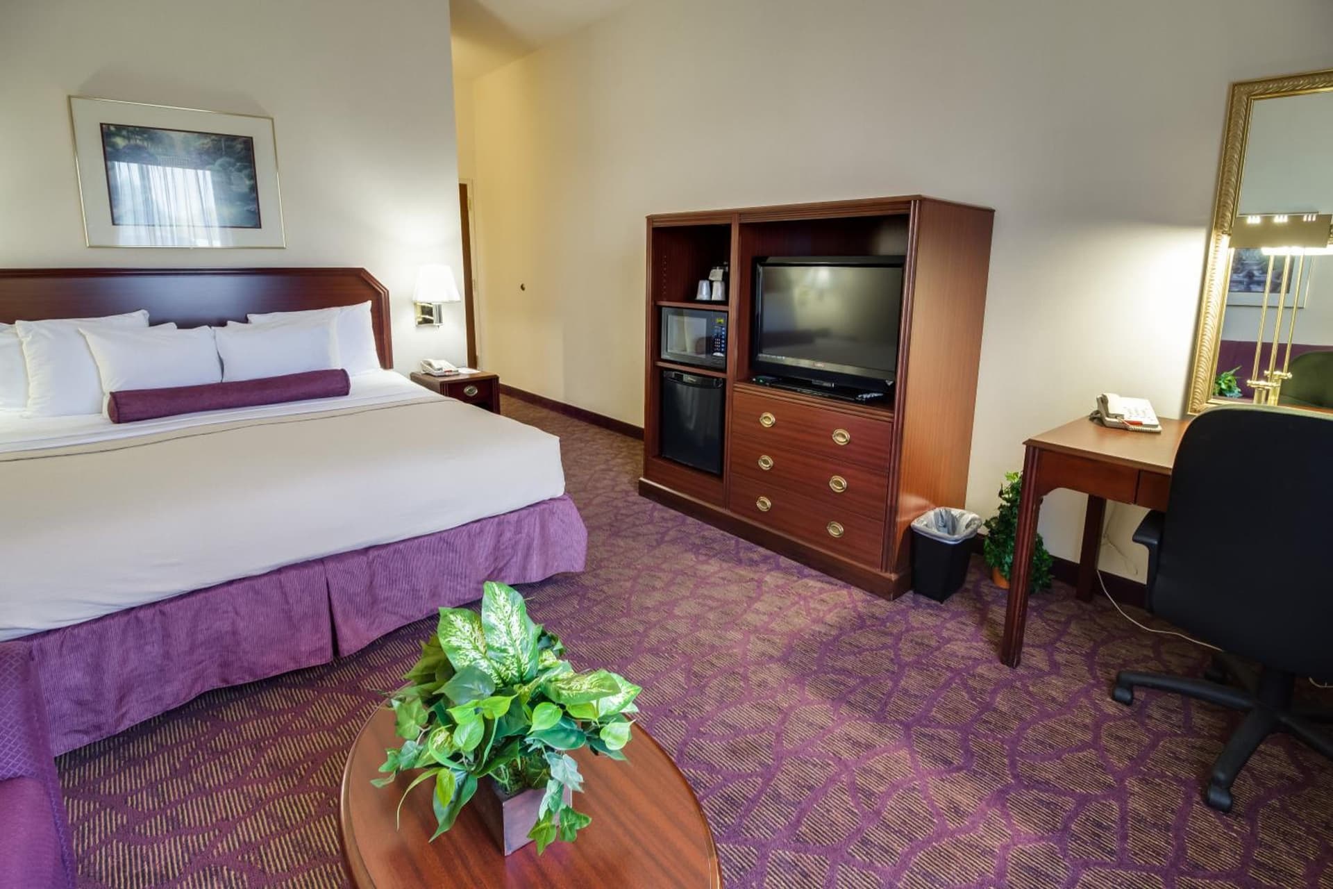 Spark by Hilton Amarillo East gallery photo in Amarillo, TX — image 44