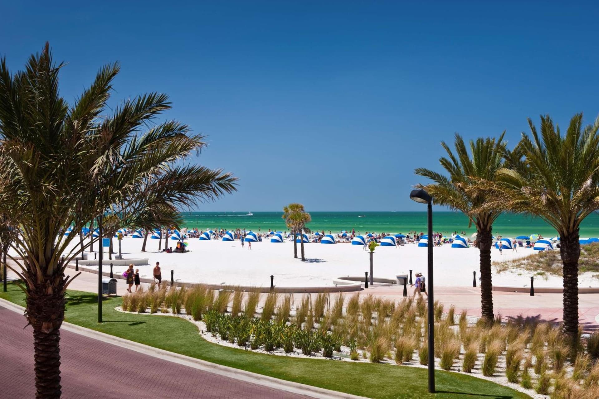Hyatt Regency Clearwater Beach Resort and Suites gallery photo in Clearwater Beach, FL — image 133