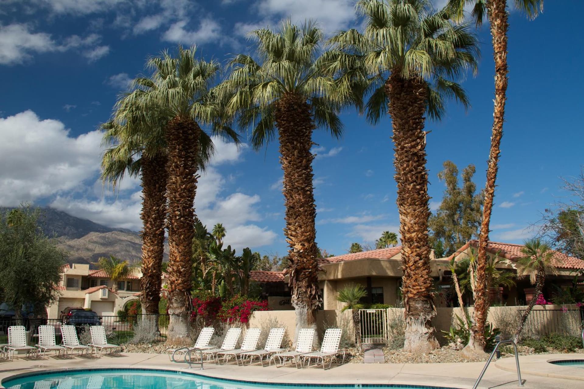 The Oasis Resort property views in Palm Springs, CA — gallery photo 3