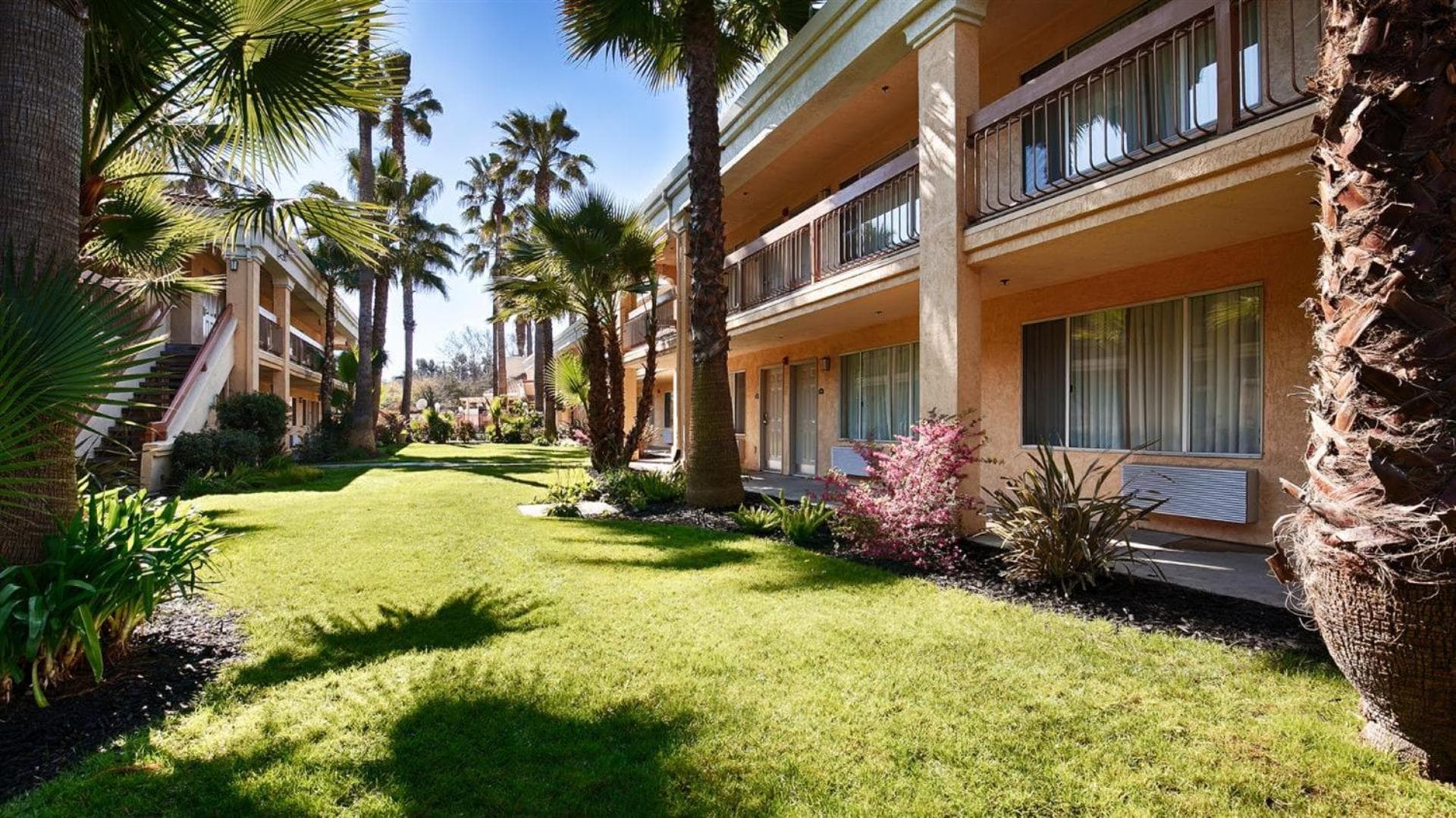 Best Western Palm Court Inn gallery photo in Modesto, CA — image 13