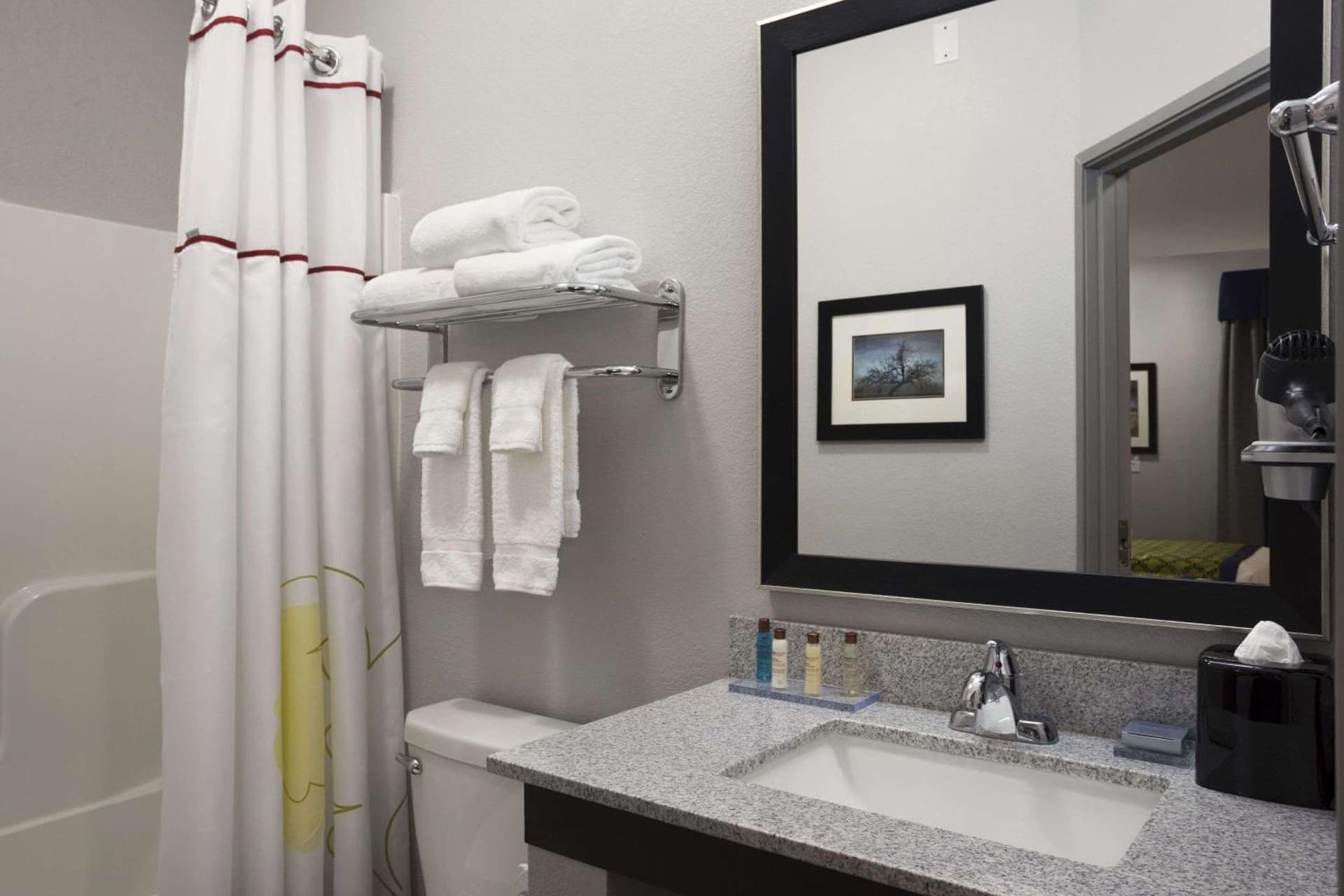 Hawthorn Suites by Wyndham San Angelo gallery photo in San Angelo, TX — image 5