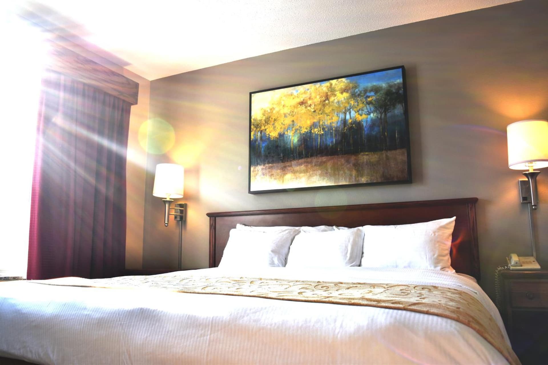 The Commerce, Trademark Collection by Wyndham gallery photo in River Falls, WI — image 13