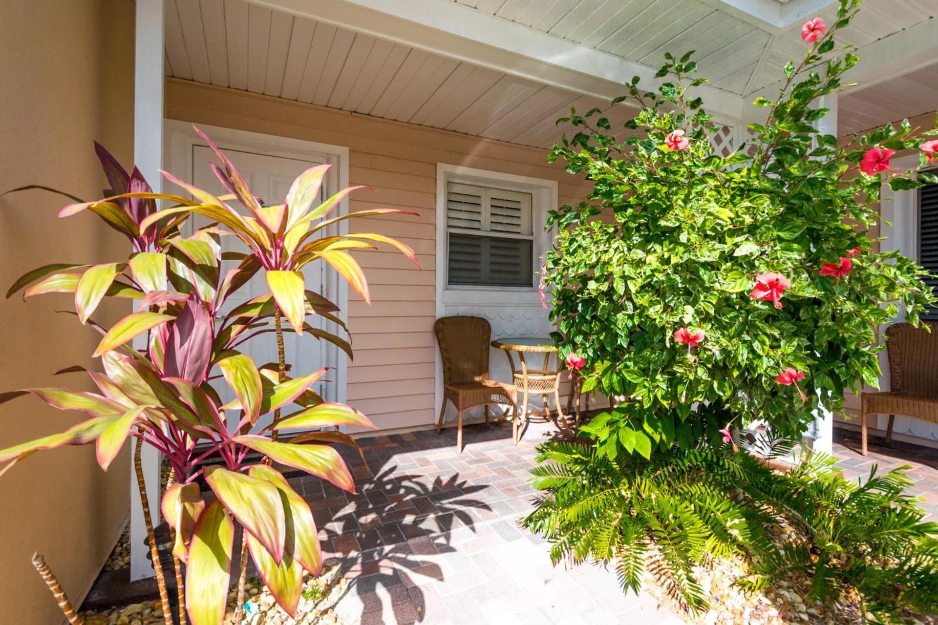 Tropical Beach Resorts - Sarasota gallery photo in Sarasota, FL — image 128