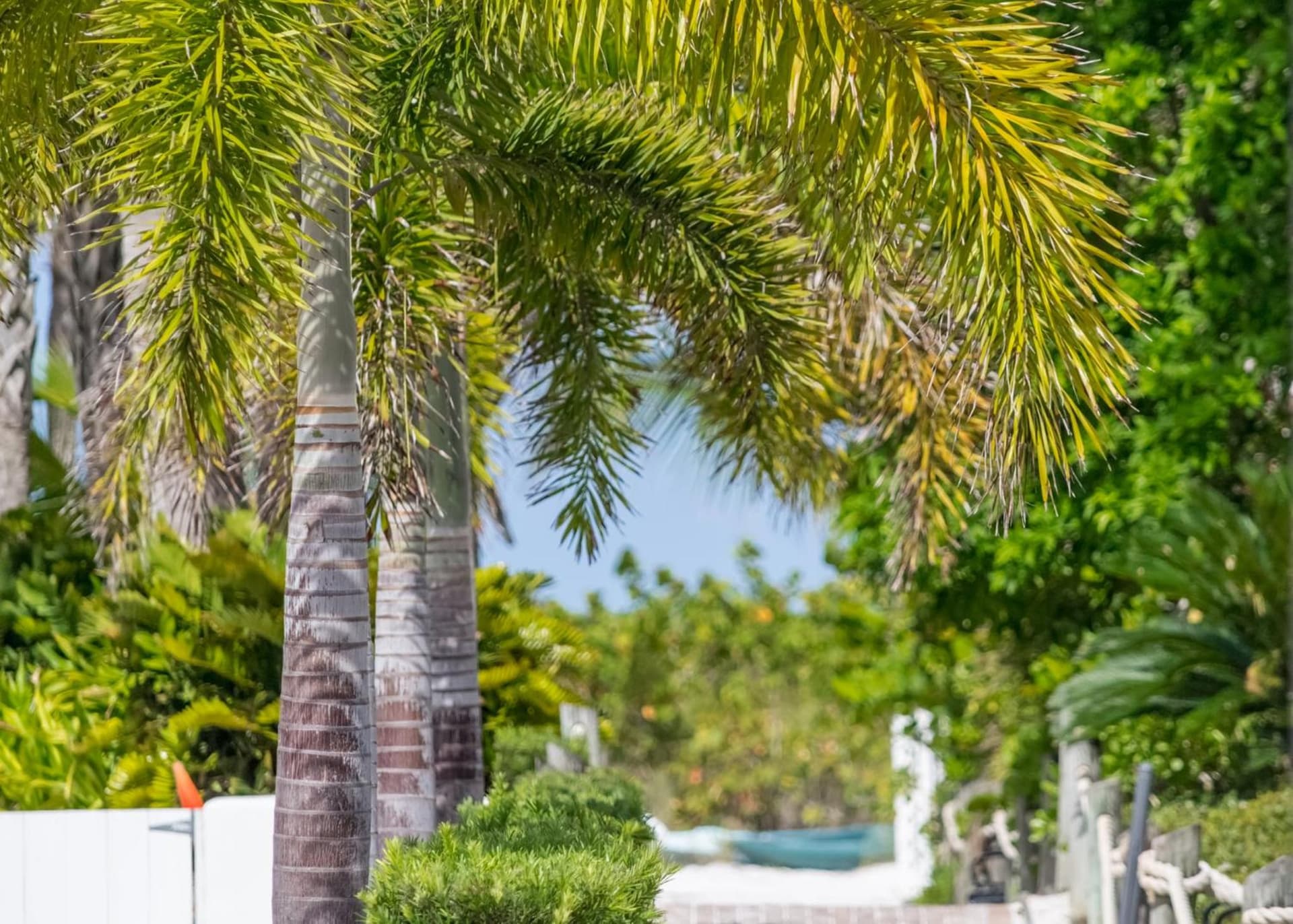 Tropical Beach Resorts - Sarasota gallery photo in Sarasota, FL — image 10