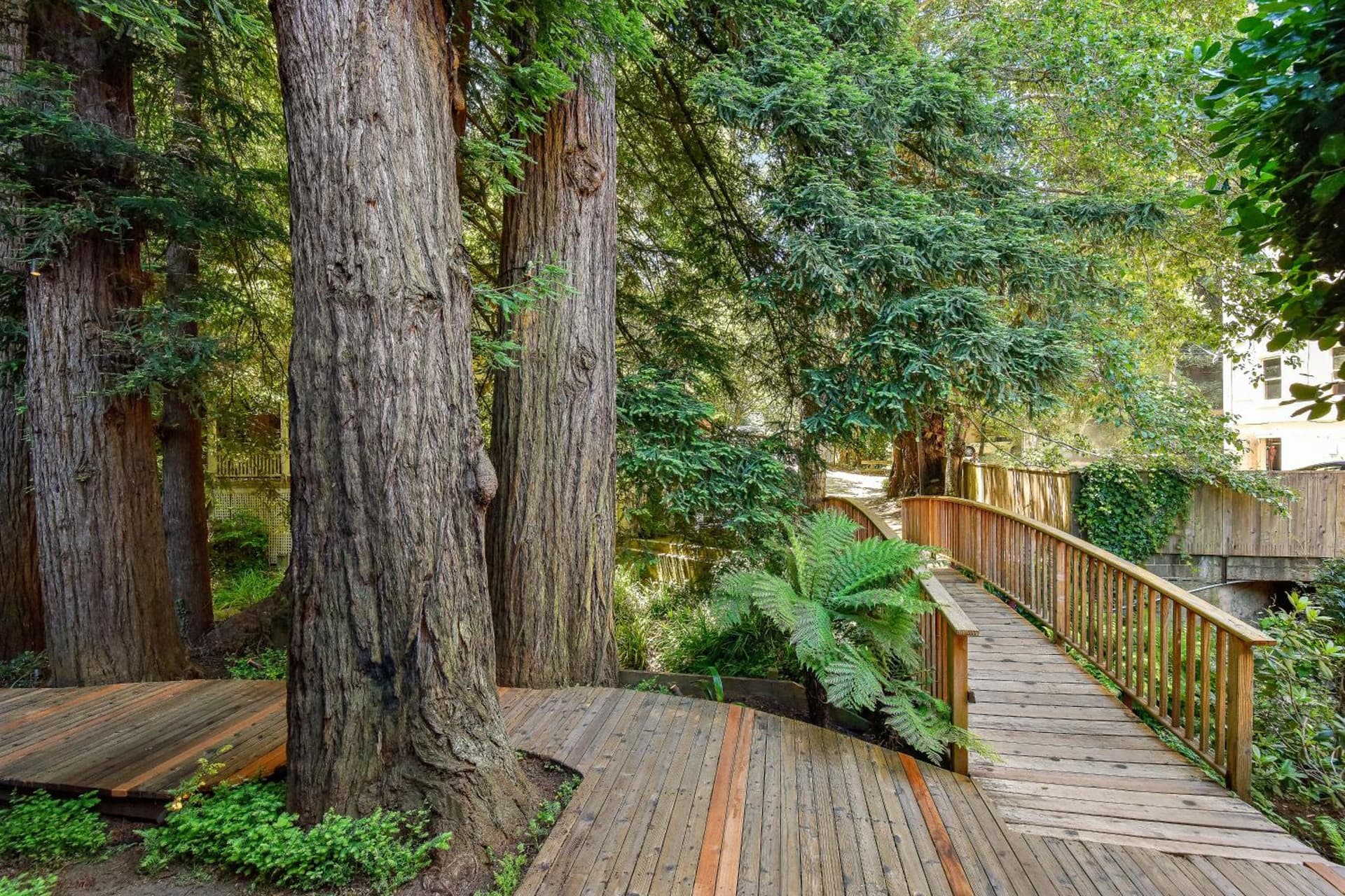 Mill Valley Inn gallery photo in Mill Valley, CA — image 25