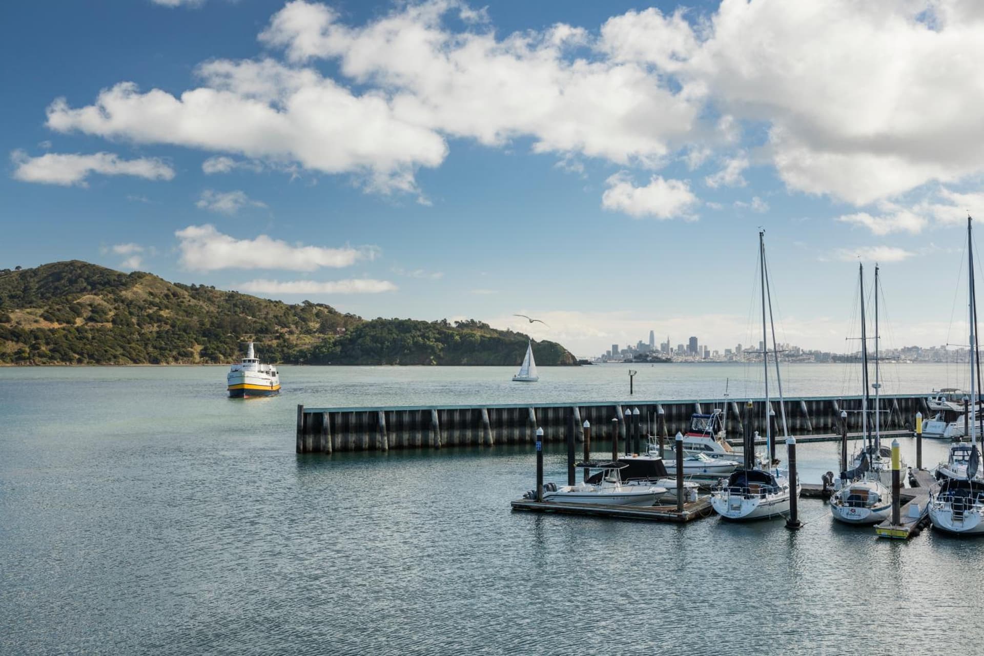 Waters Edge gallery photo in Tiburon, CA — image 5