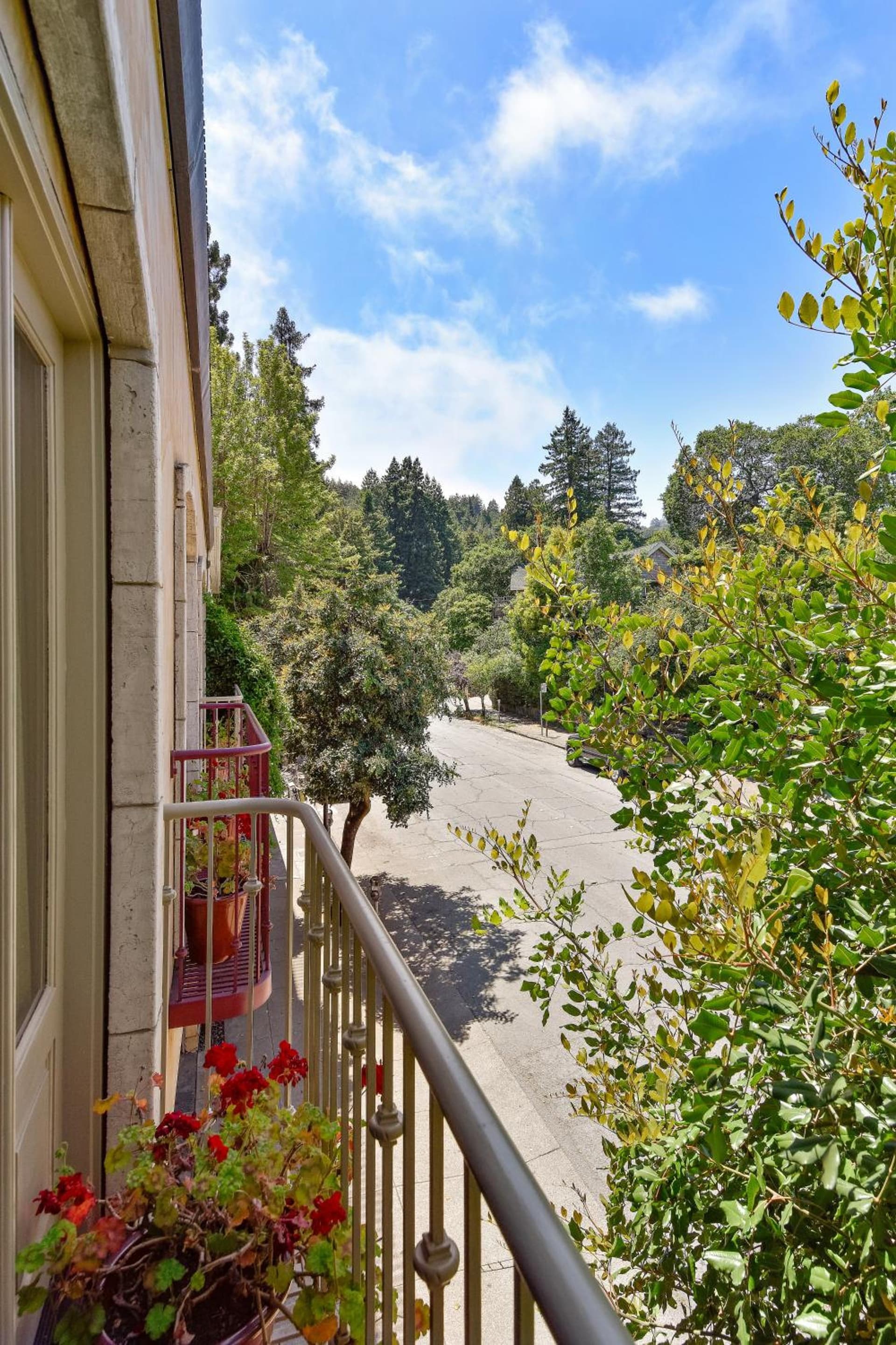 Mill Valley Inn gallery photo in Mill Valley, CA — image 23