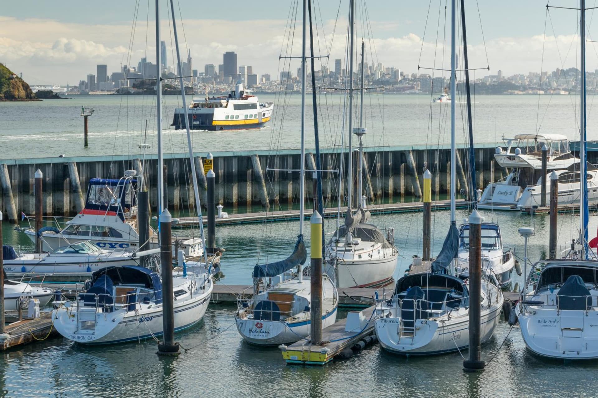 Waters Edge gallery photo in Tiburon, CA — image 17