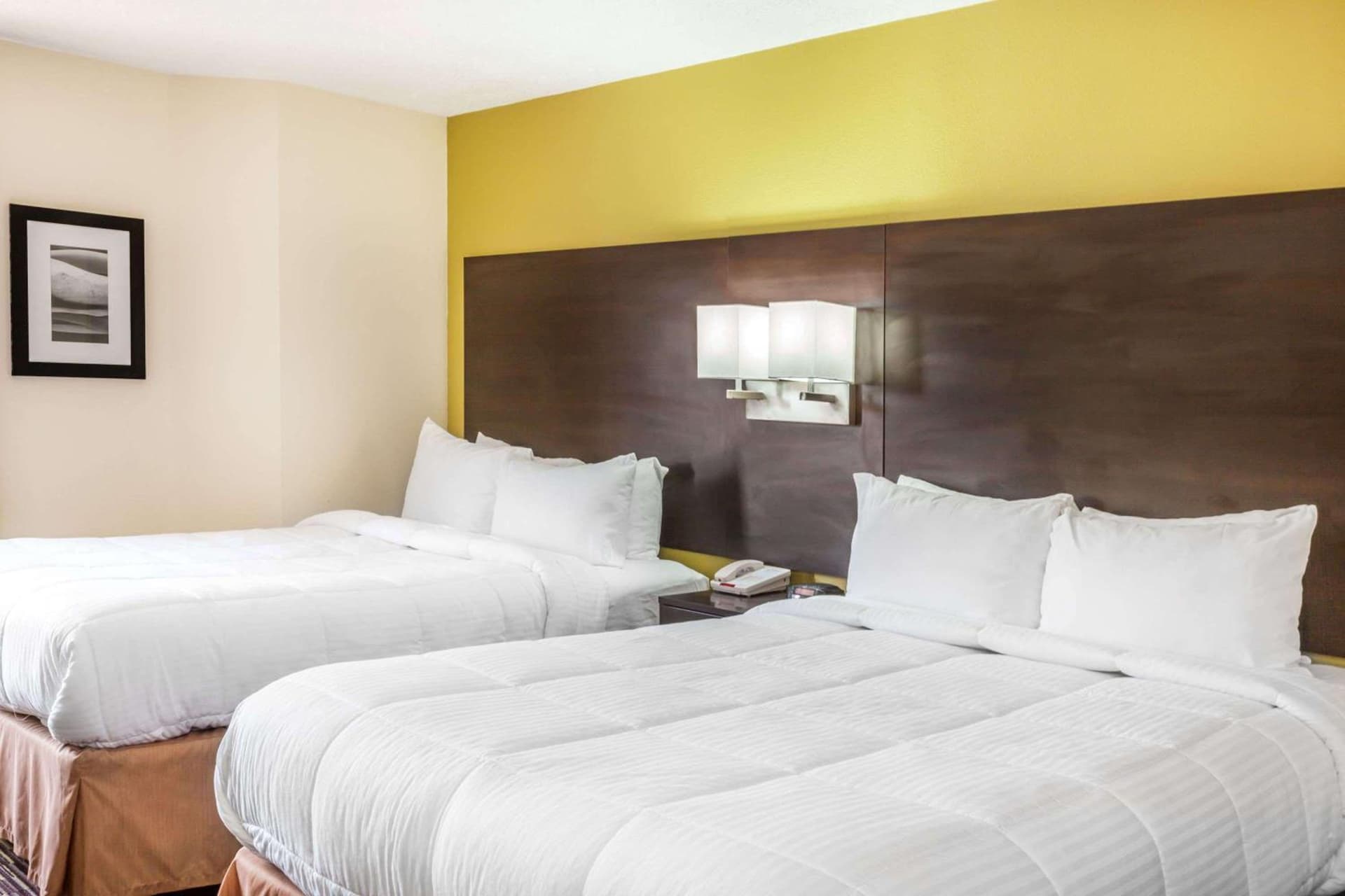 Baymont by Wyndham Newark at University of Delaware gallery photo in Newark, DE — image 4