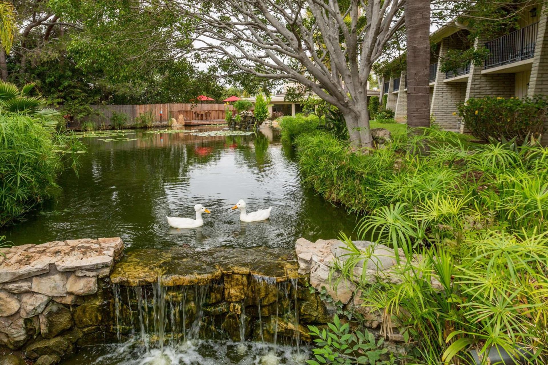 Ramada by Wyndham Santa Barbara gallery photo in Santa Barbara, CA — image 13
