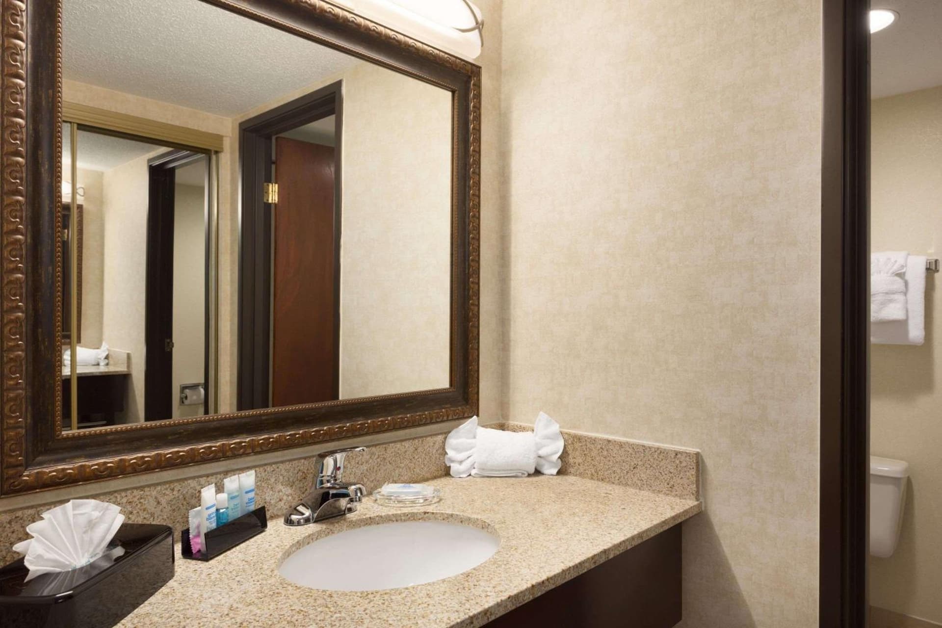 Wyndham Garden Grand Rapids Airport gallery photo in Grand Rapids, MI — image 18