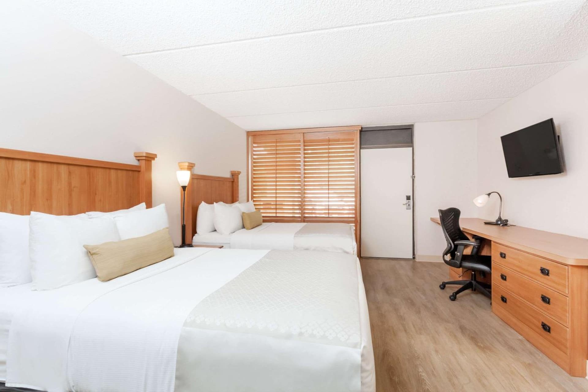 Wyndham Garden Hotel Austin gallery photo in Austin, TX — image 41