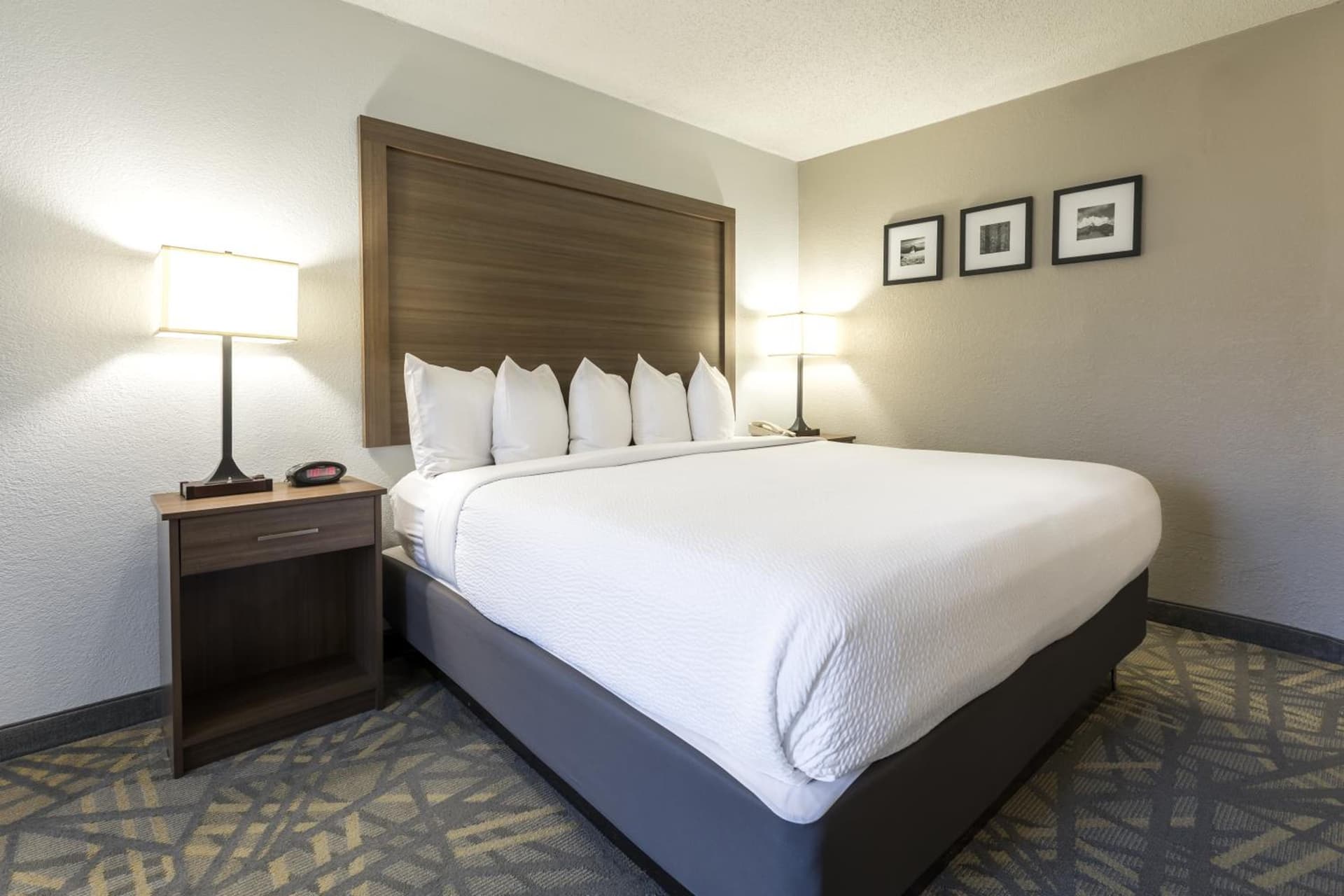La Quinta Inn & Suites by Wyndham Downtown Asheville gallery photo in Asheville, NC — image 12