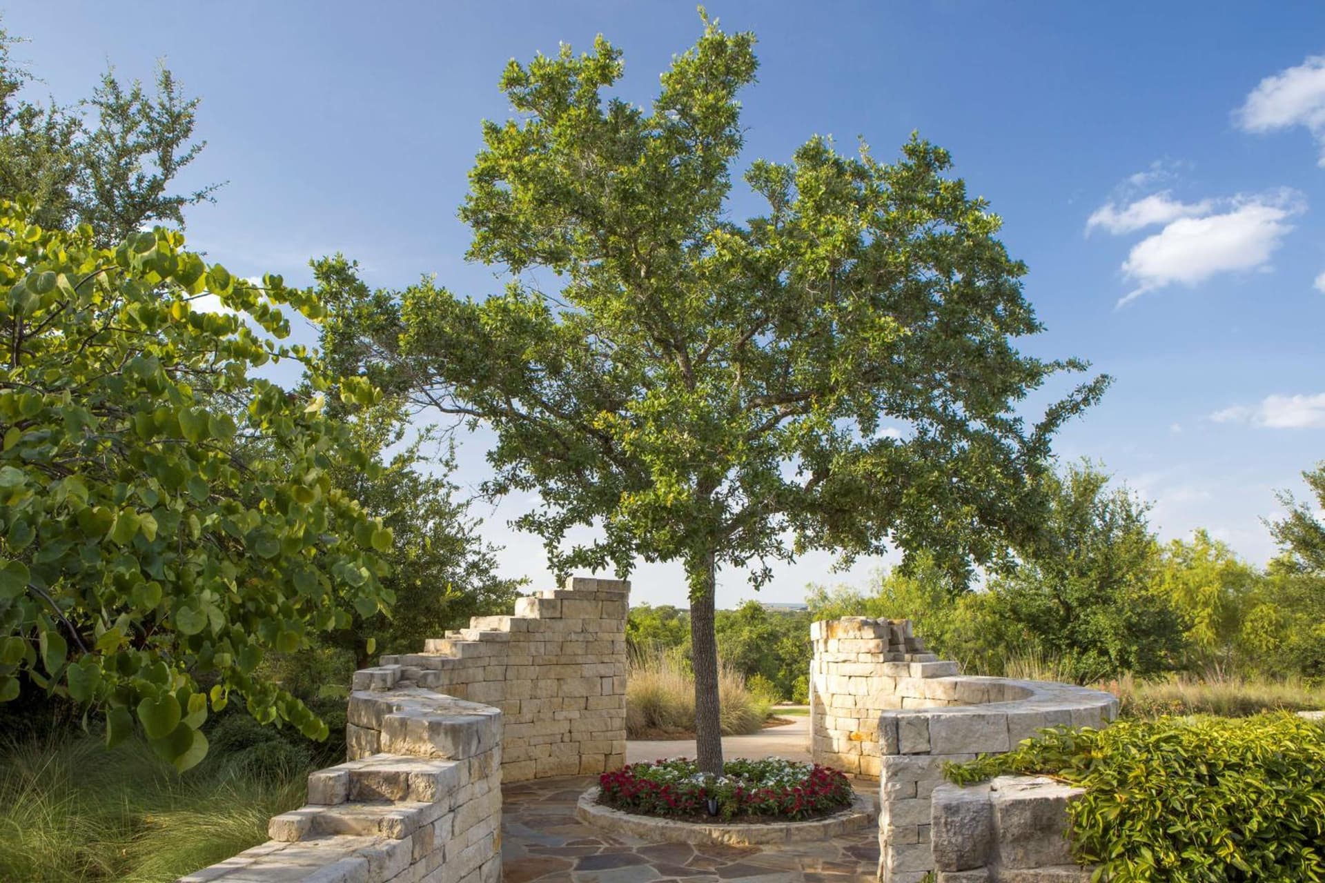 Hyatt Vacation Club at Wild Oak Ranch gallery photo in San Antonio, TX — image 12