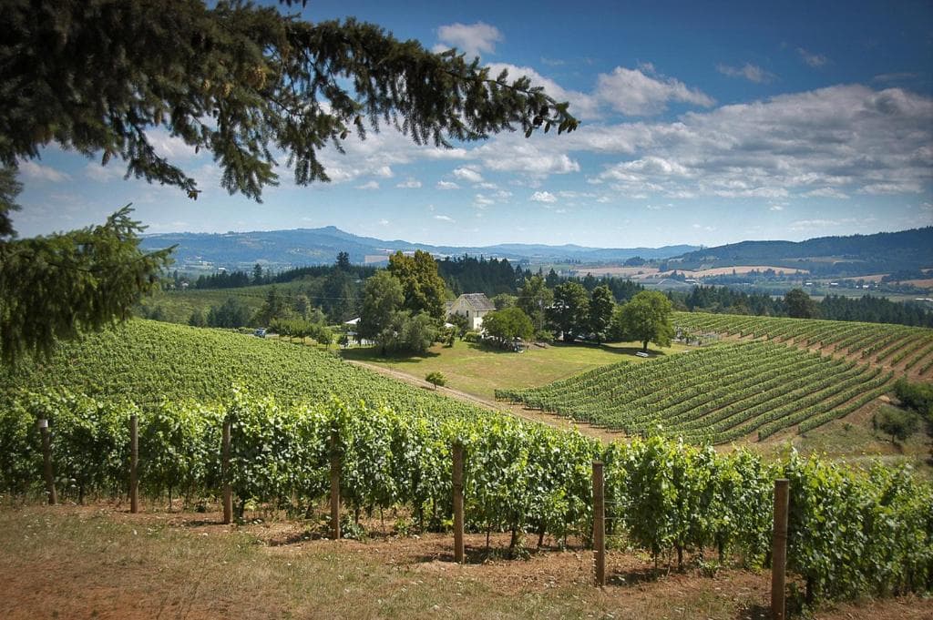 Best Western University Inn and Suites gallery photo in Forest Grove, OR — image 6